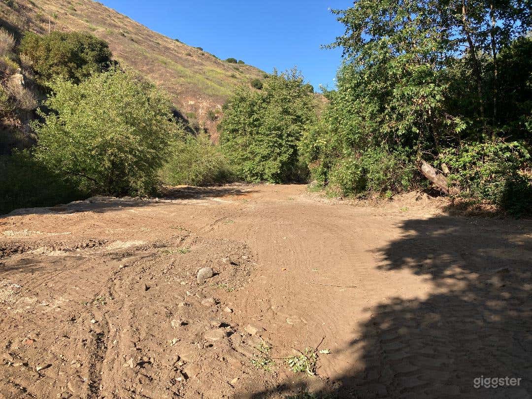 Wilderness Forest Photo 1