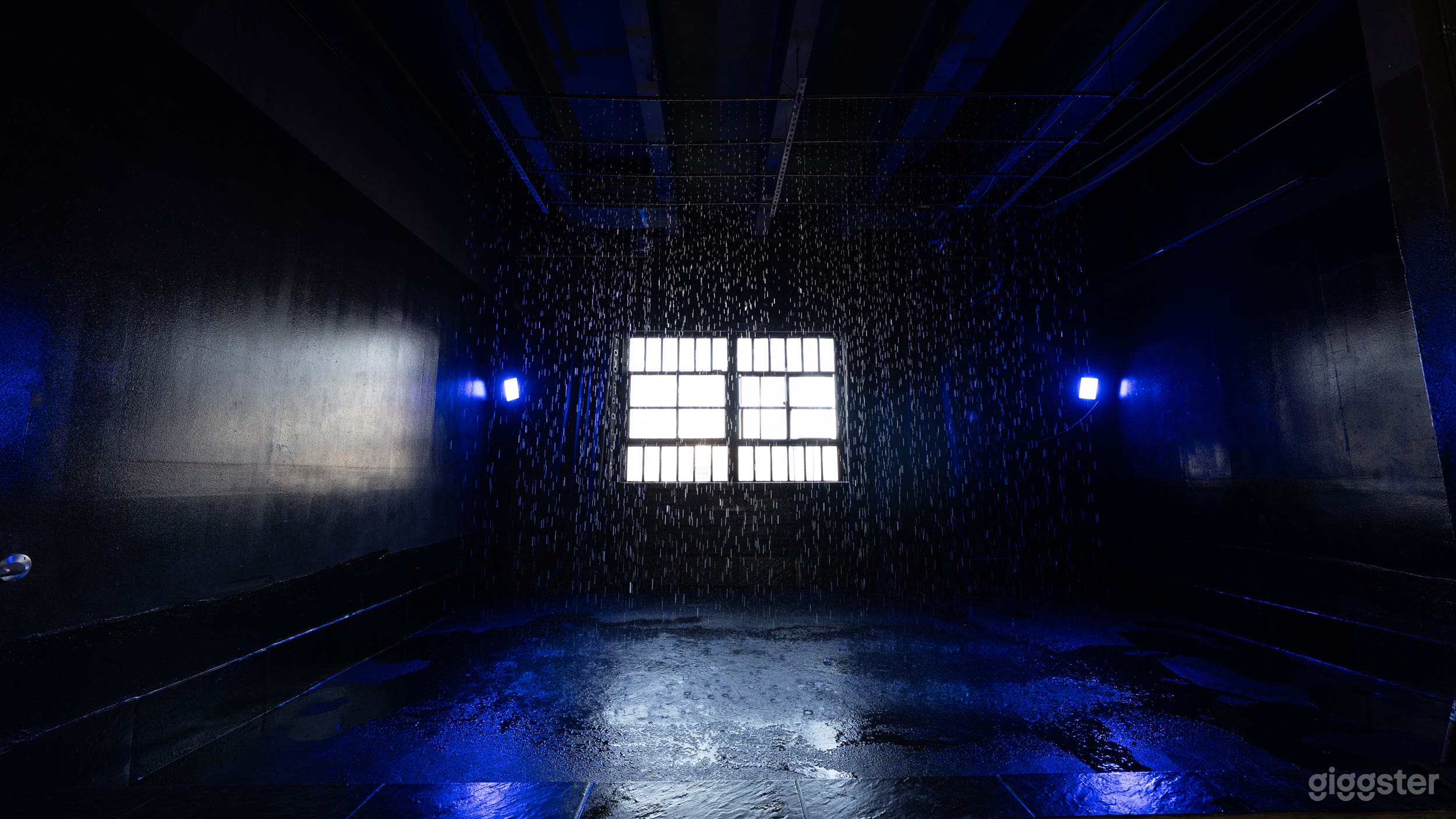 Rain Room Photo 2