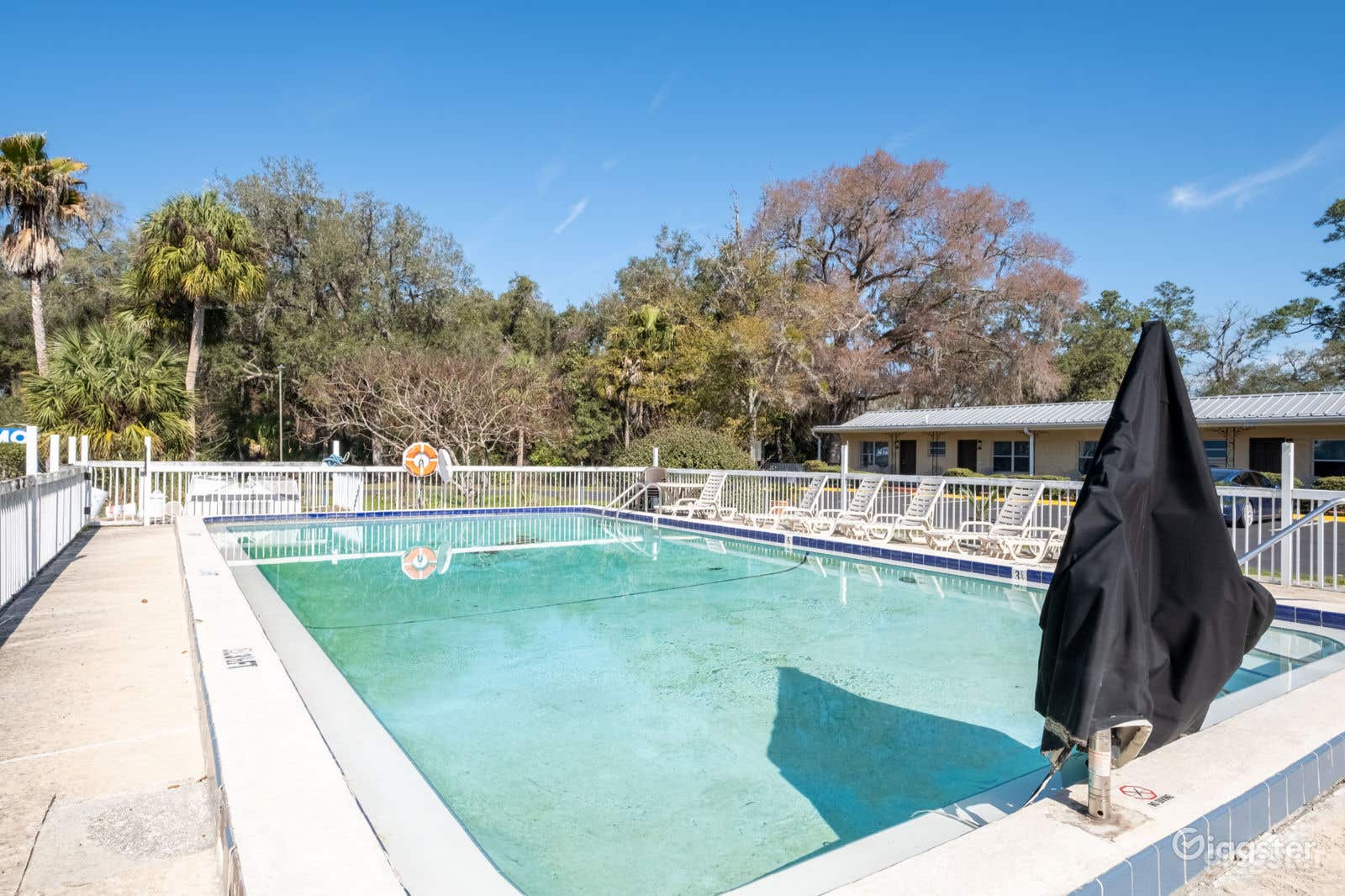 Tropical Pool in the Heart of the Nature Coast Photo 1