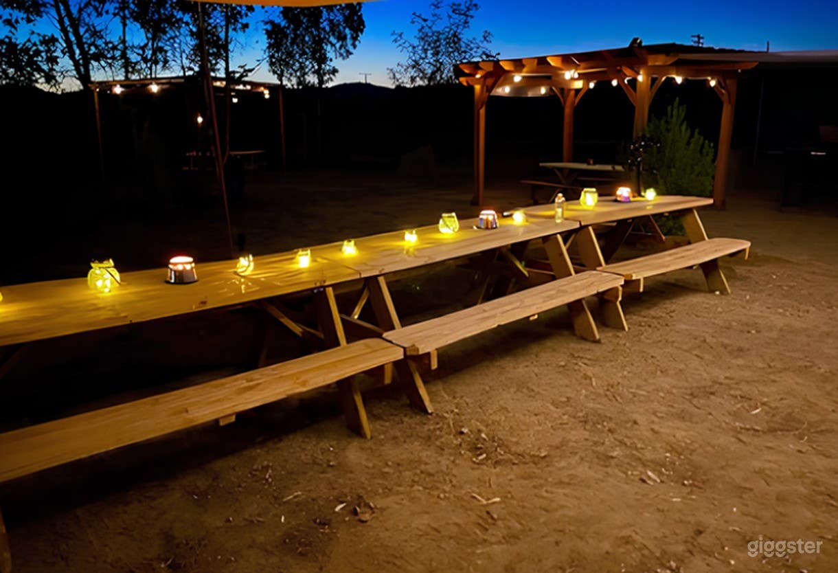 Outdoor Dining Experience Photo 2