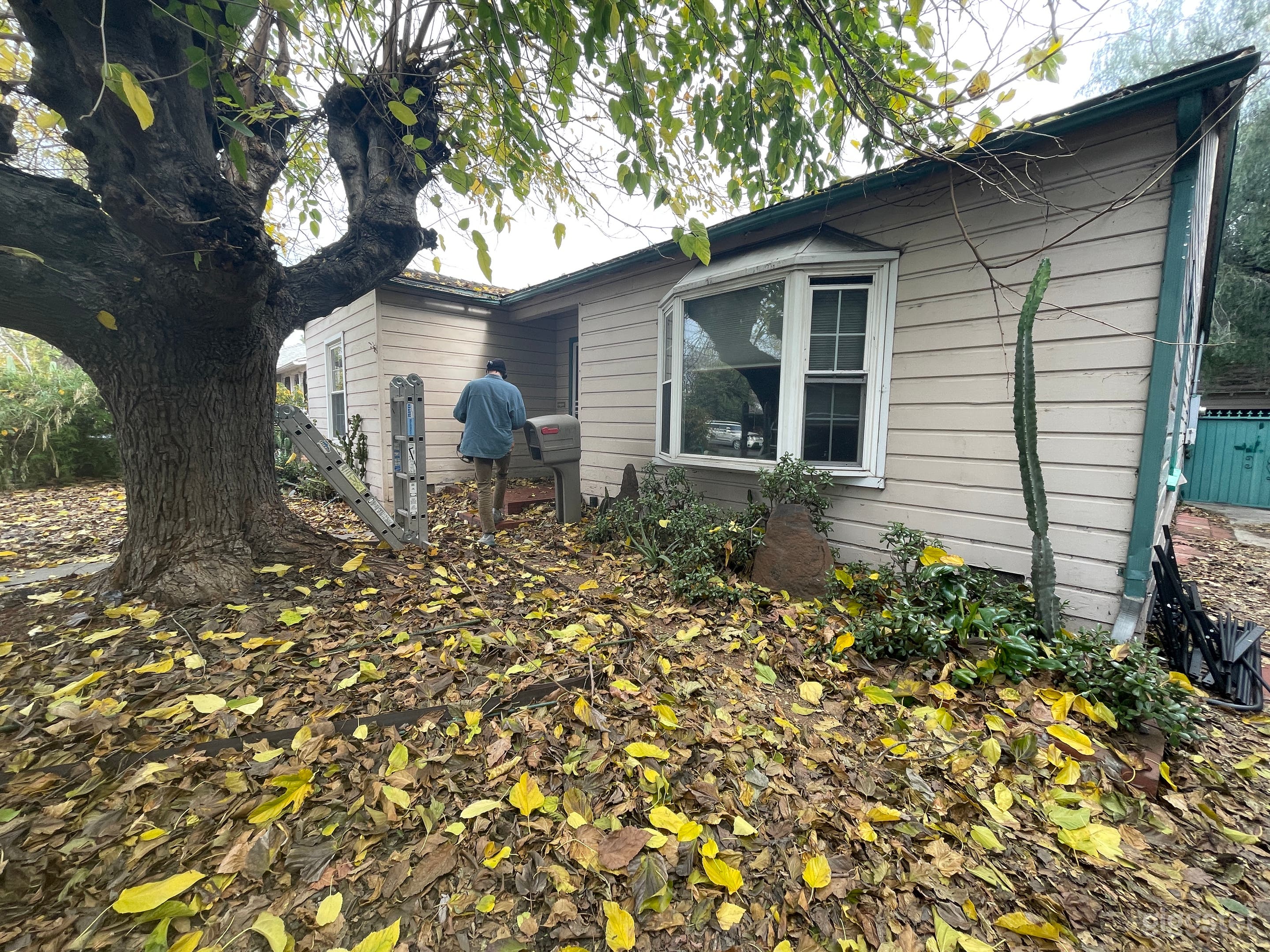 Colorful Residential Garden Home Photo 2