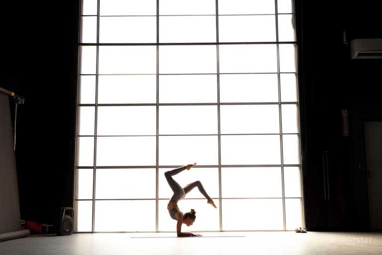  Shown with optional window insert. 