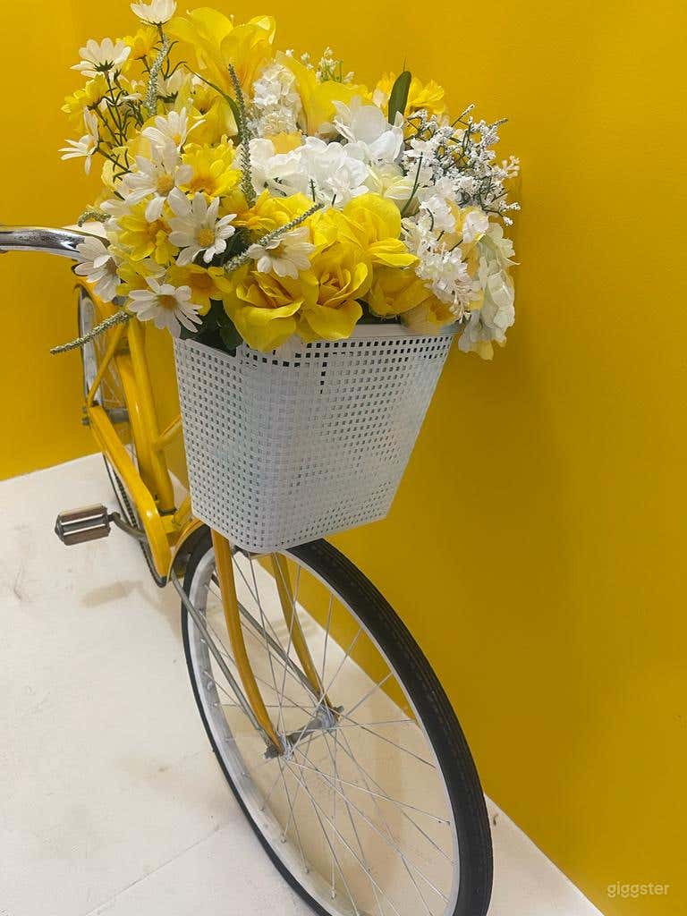 Color Room/ Photography Studio Photo 2