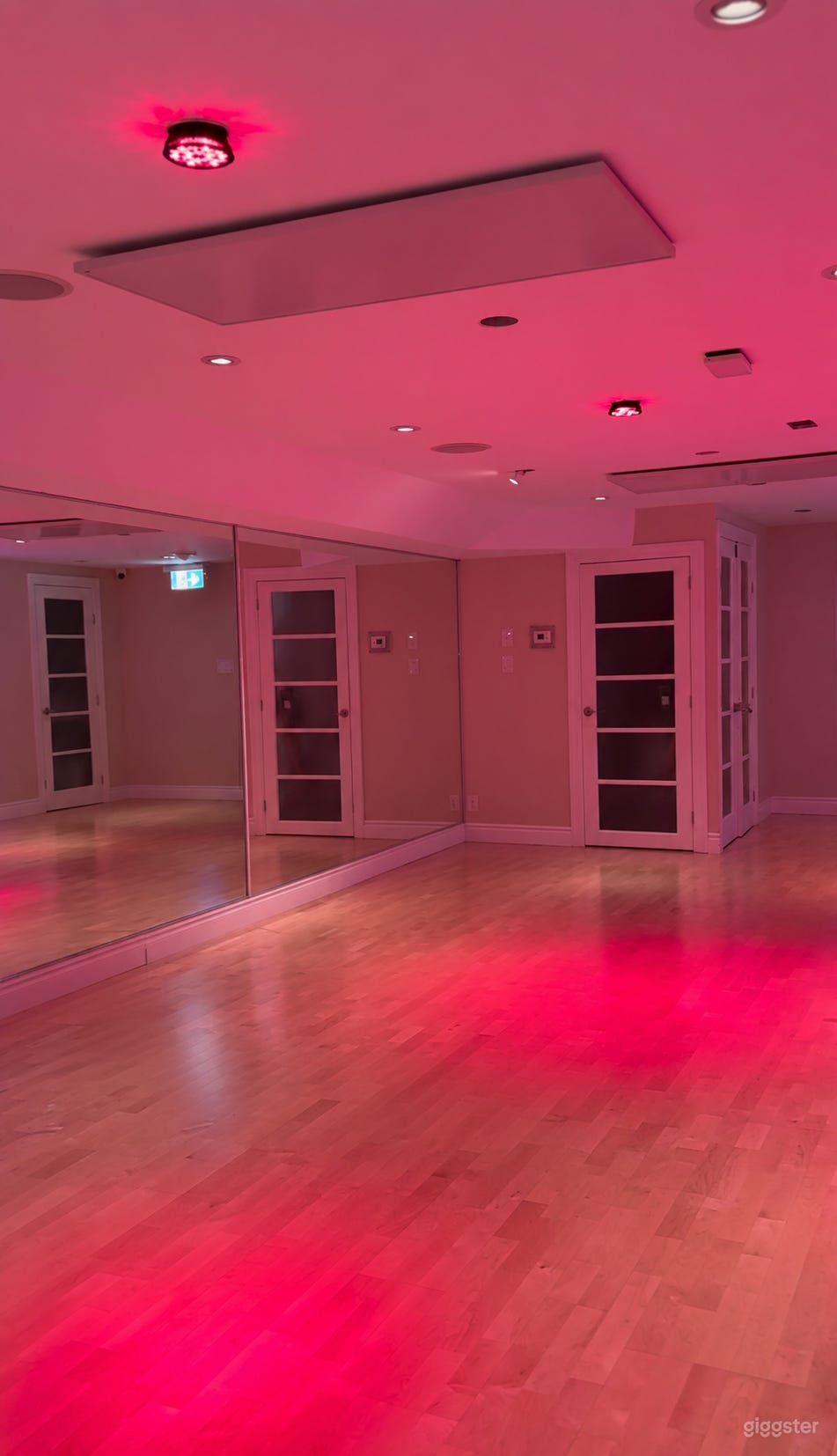 Beautiful Studio in Port Credit Photo 2