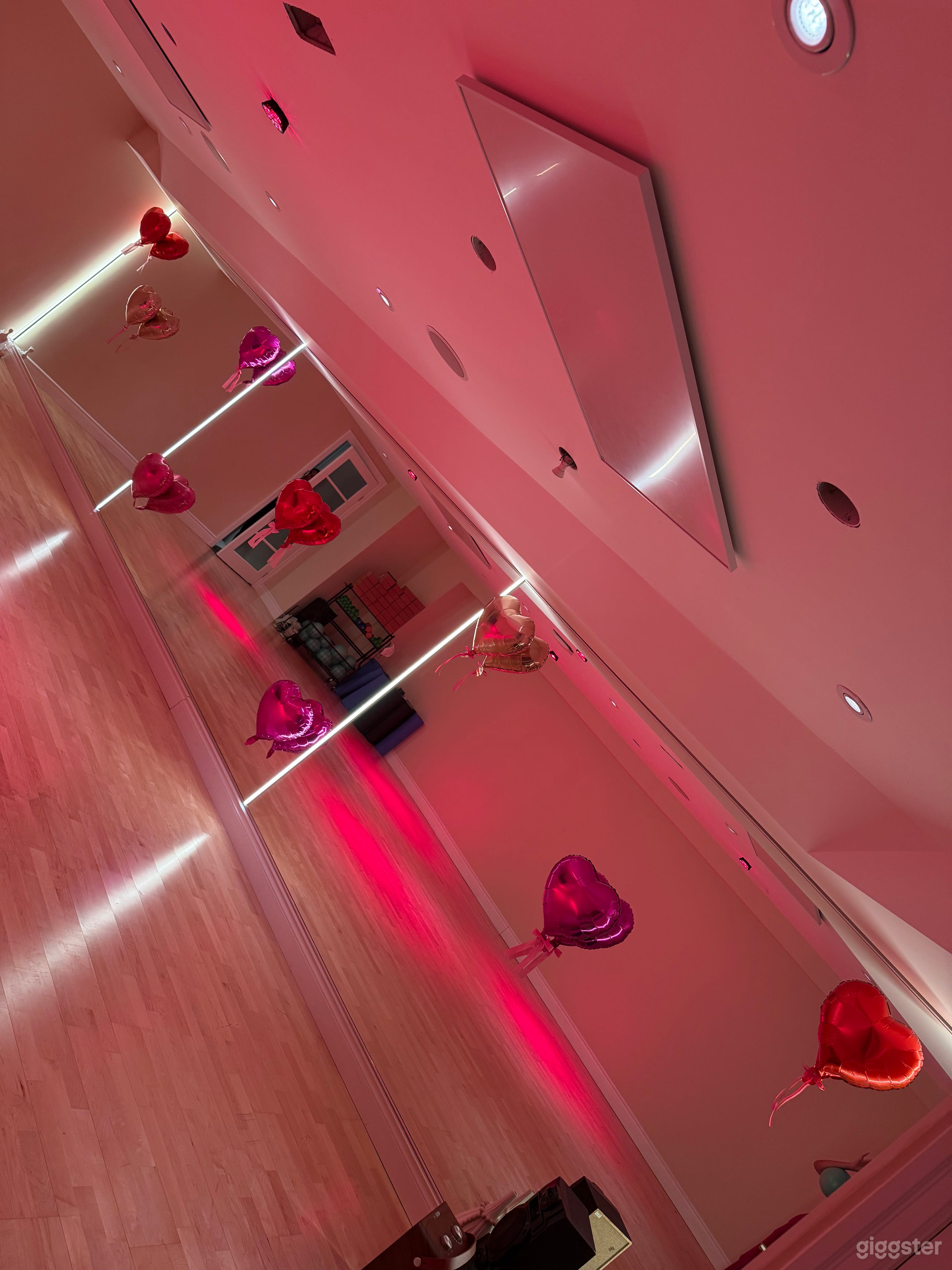 Beautiful Studio in Port Credit Photo 1