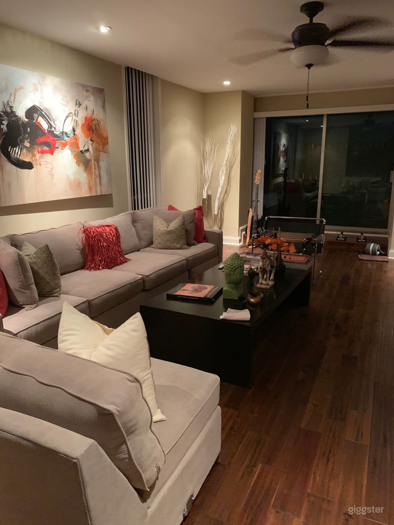  Contemporary Modern Apartment 