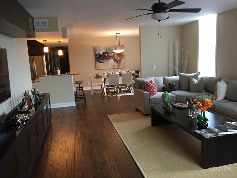  Contemporary Modern Apartment 