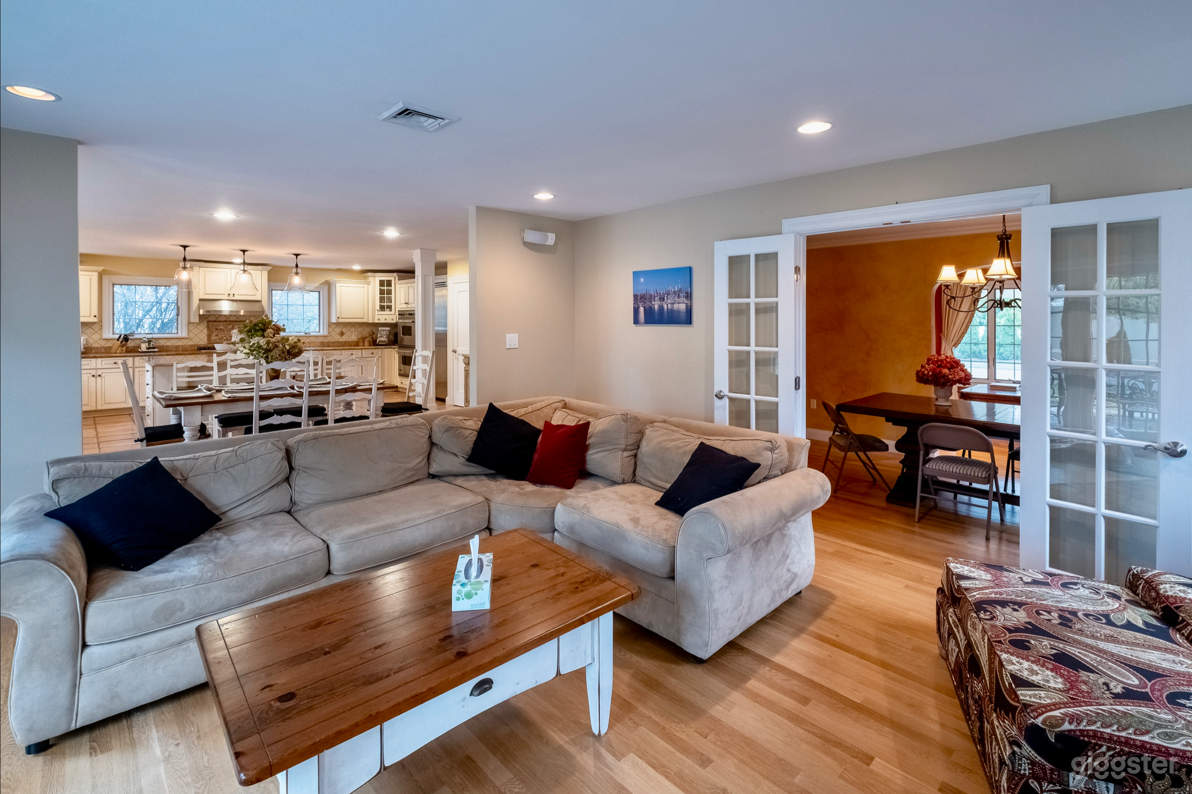 Shapira's Classic/Elegant Suburban House Photo 4