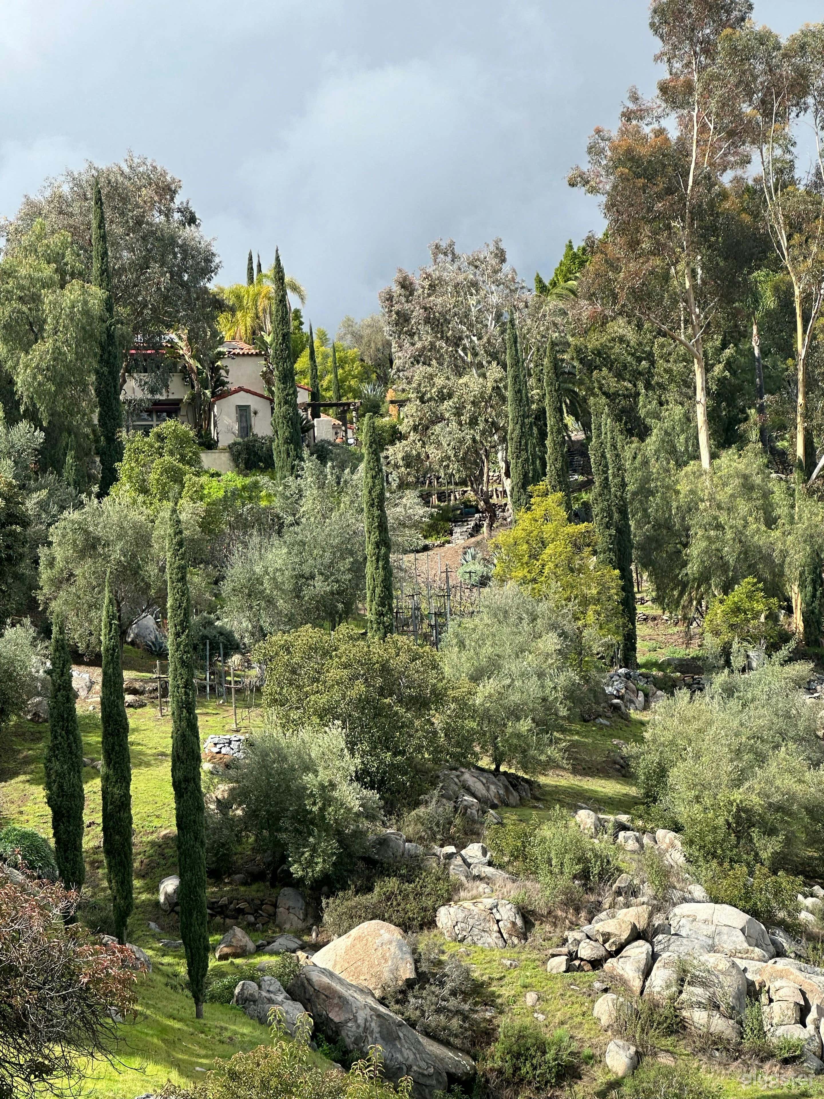 Italian country villa with vineyard and panoramic views Photo 2