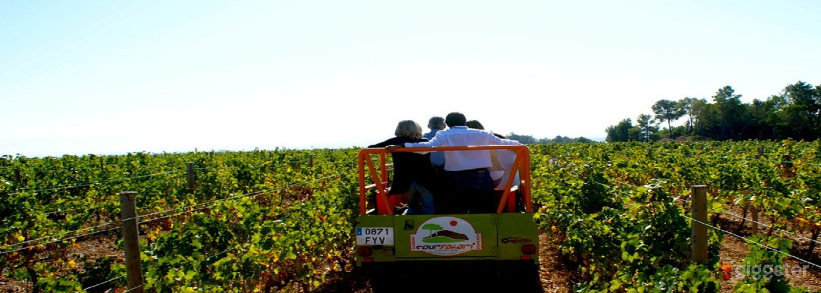 Bodega en el paisaje de viñedos del Penedès espacio completo Foto 4