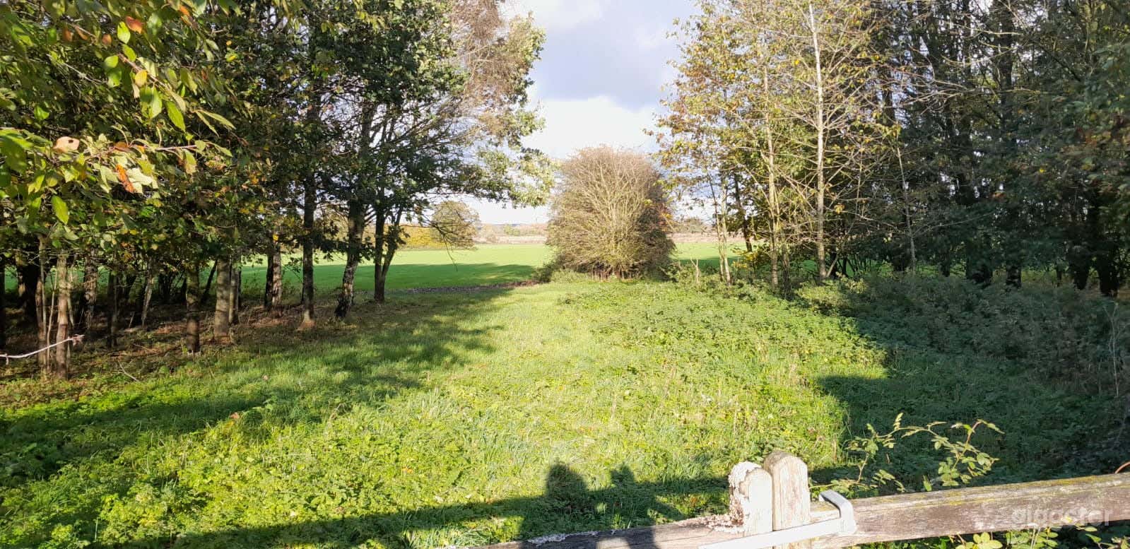 Low Grounds Farm Photo 2