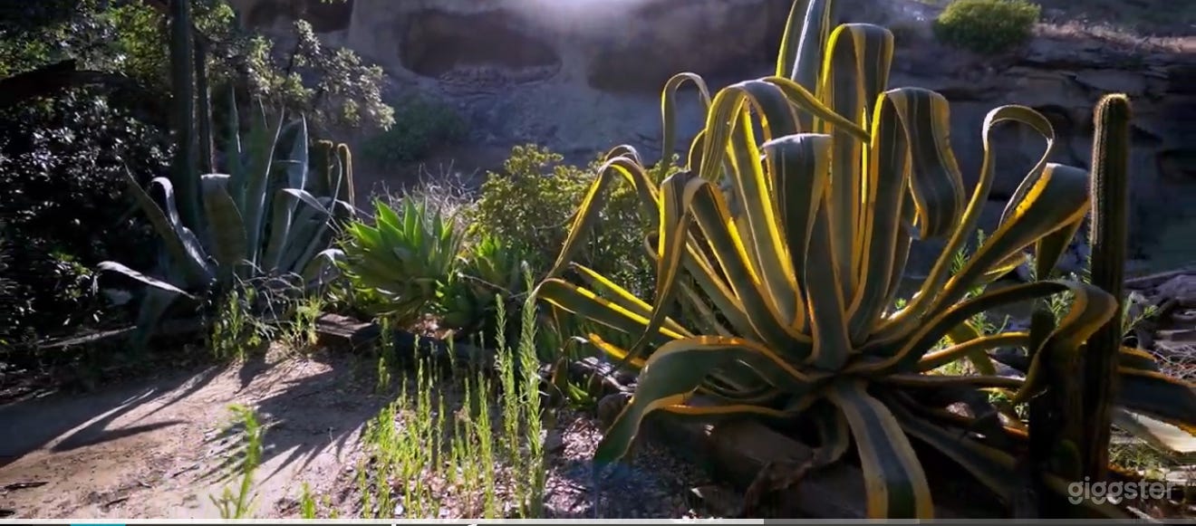 Vintage Canyon Films Art Projects&Spiritual Themes Photo 1