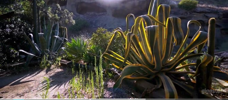  Proyectos artísticos Vintage Canyon Films y temas espirituales 