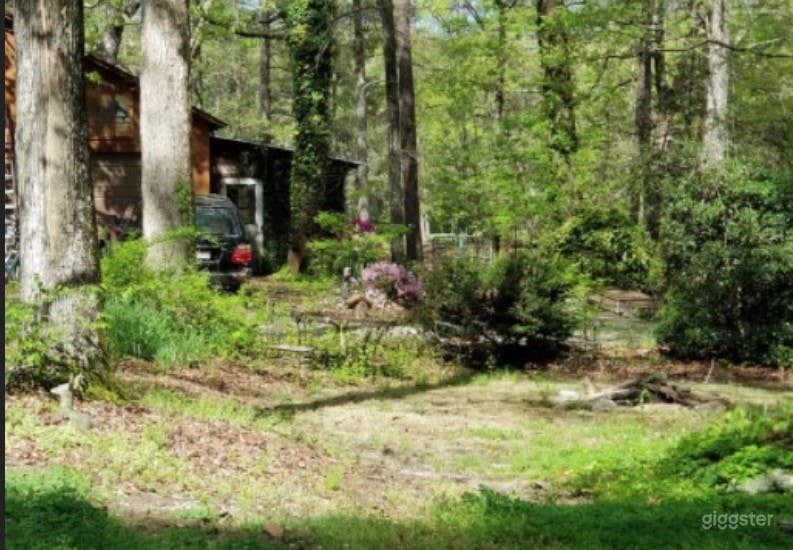 Rustic Style Home on Wooded Acres Photo 3