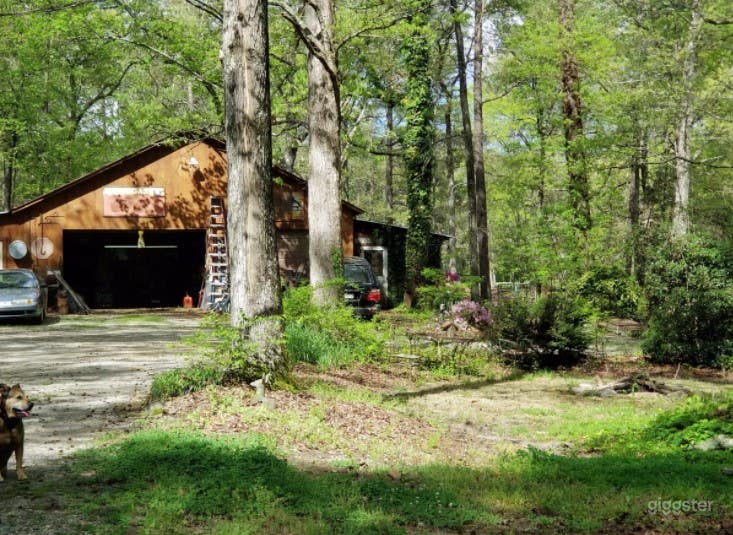 Rustic Style Home on Wooded Acres Photo 4