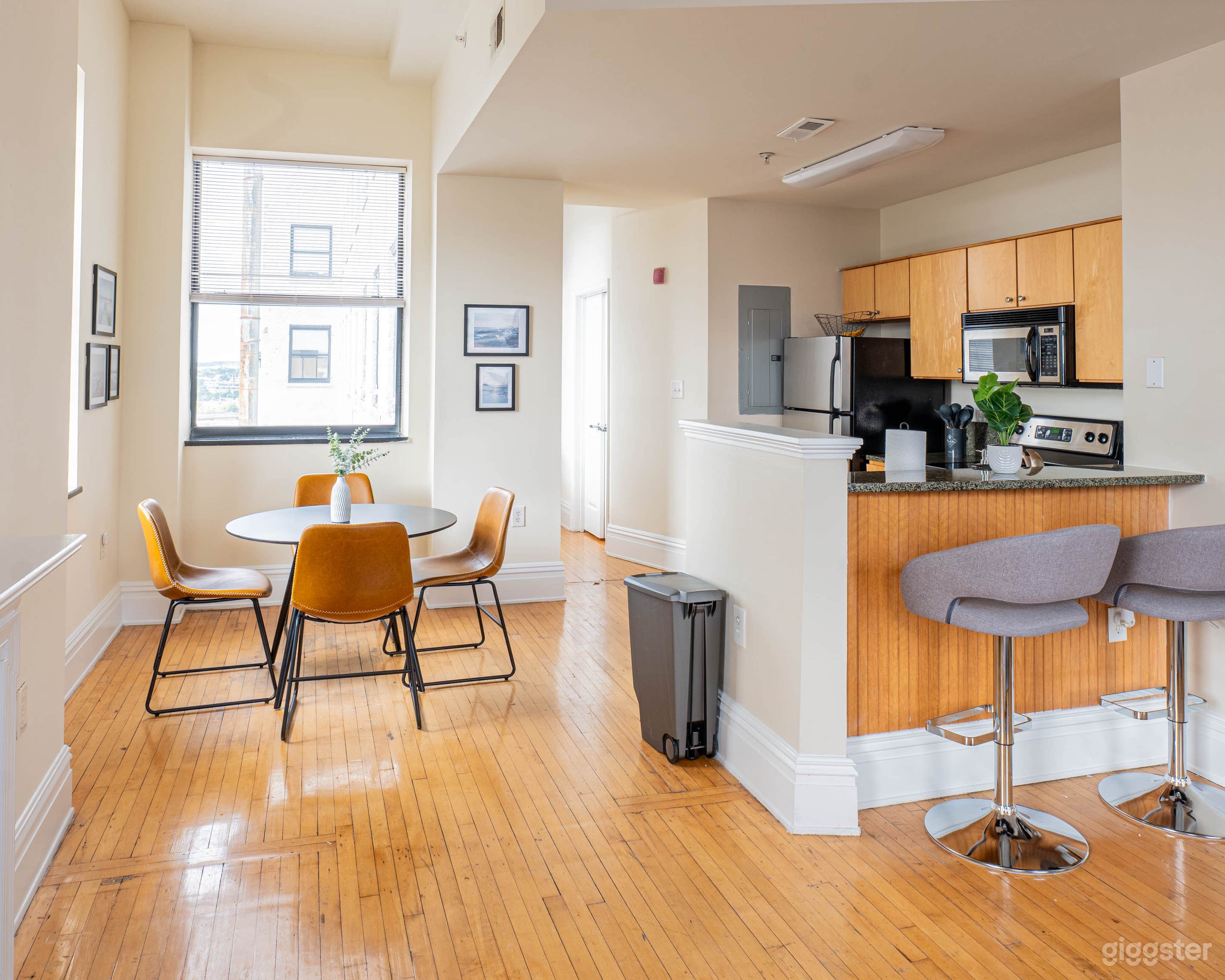 Modern Richmond Apartment with Natural Light Photo 3