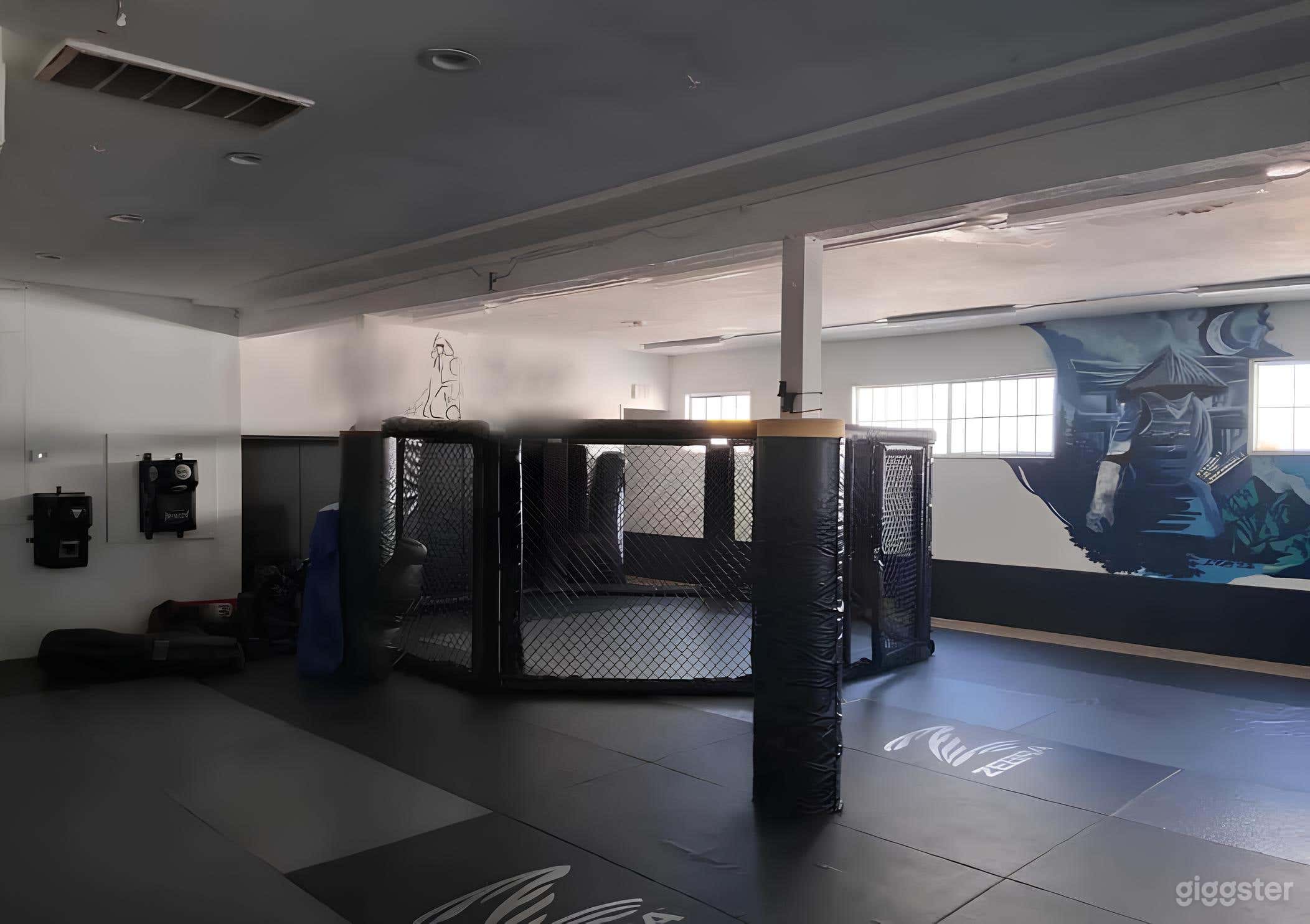 Modern Full Service MMA Gym Photo 1