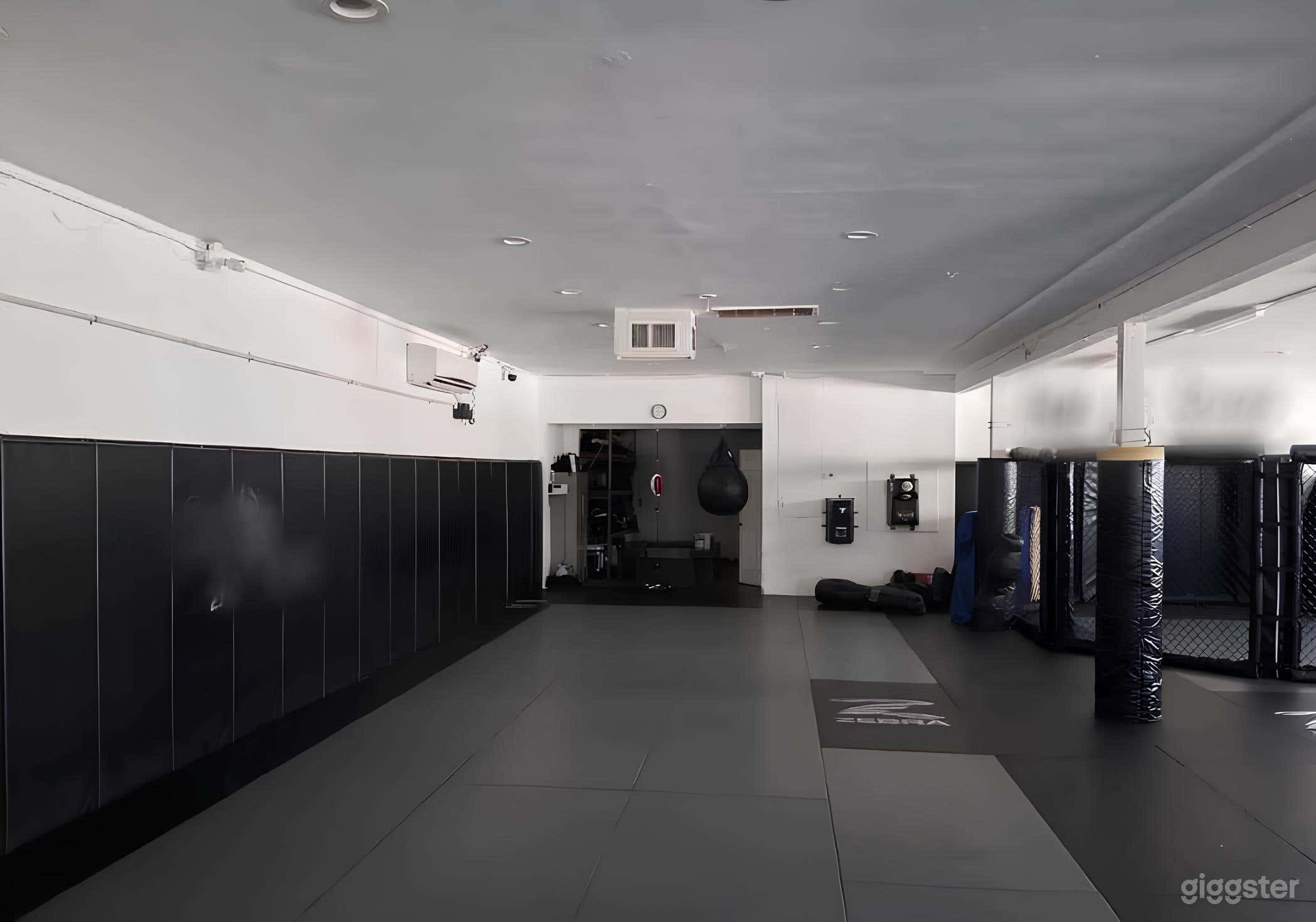 Modern Full Service MMA Gym Photo 3