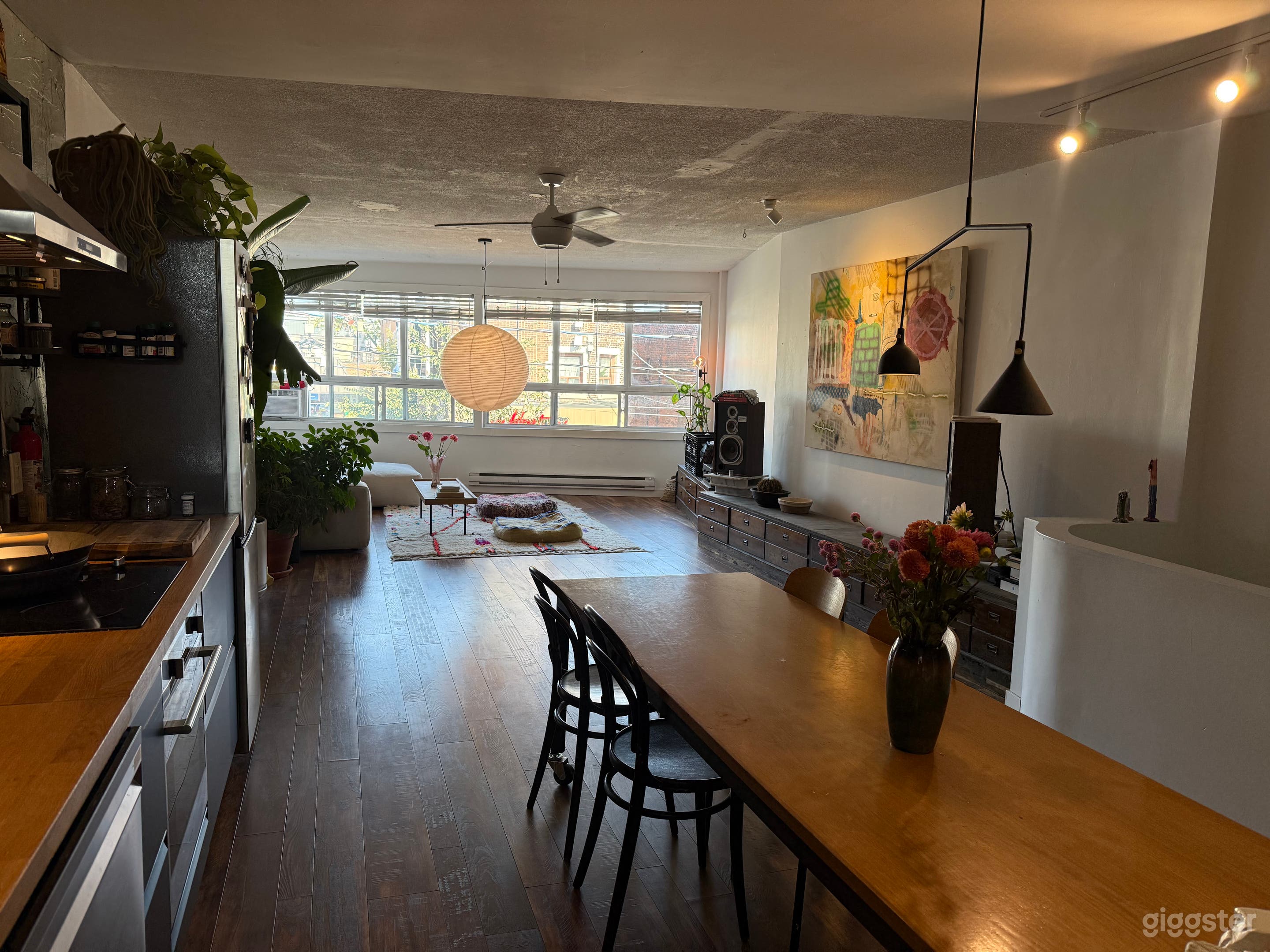 Urban Light Filled Bohemian Loft Photo 1