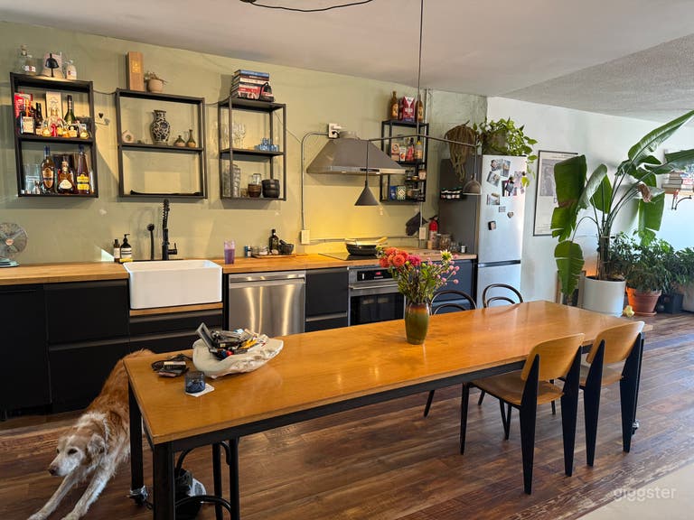  Urban Light Filled Bohemian Loft 