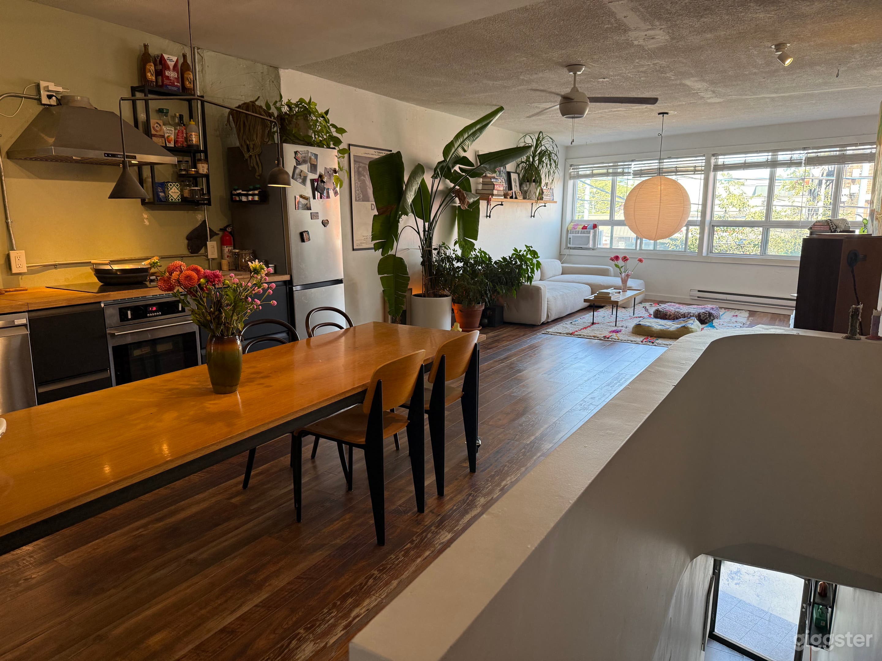 Urban Light Filled Bohemian Loft Photo 3