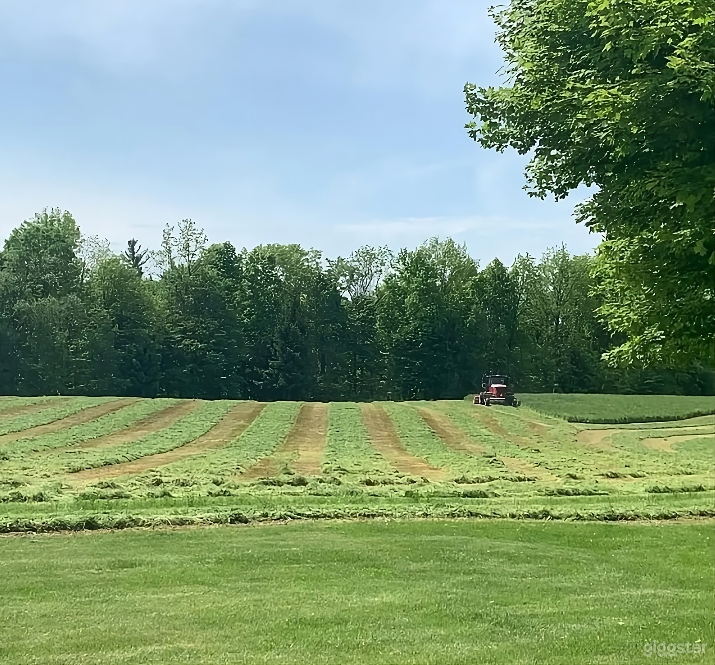Backyard with Fire Pit and Wildlife Photo 3