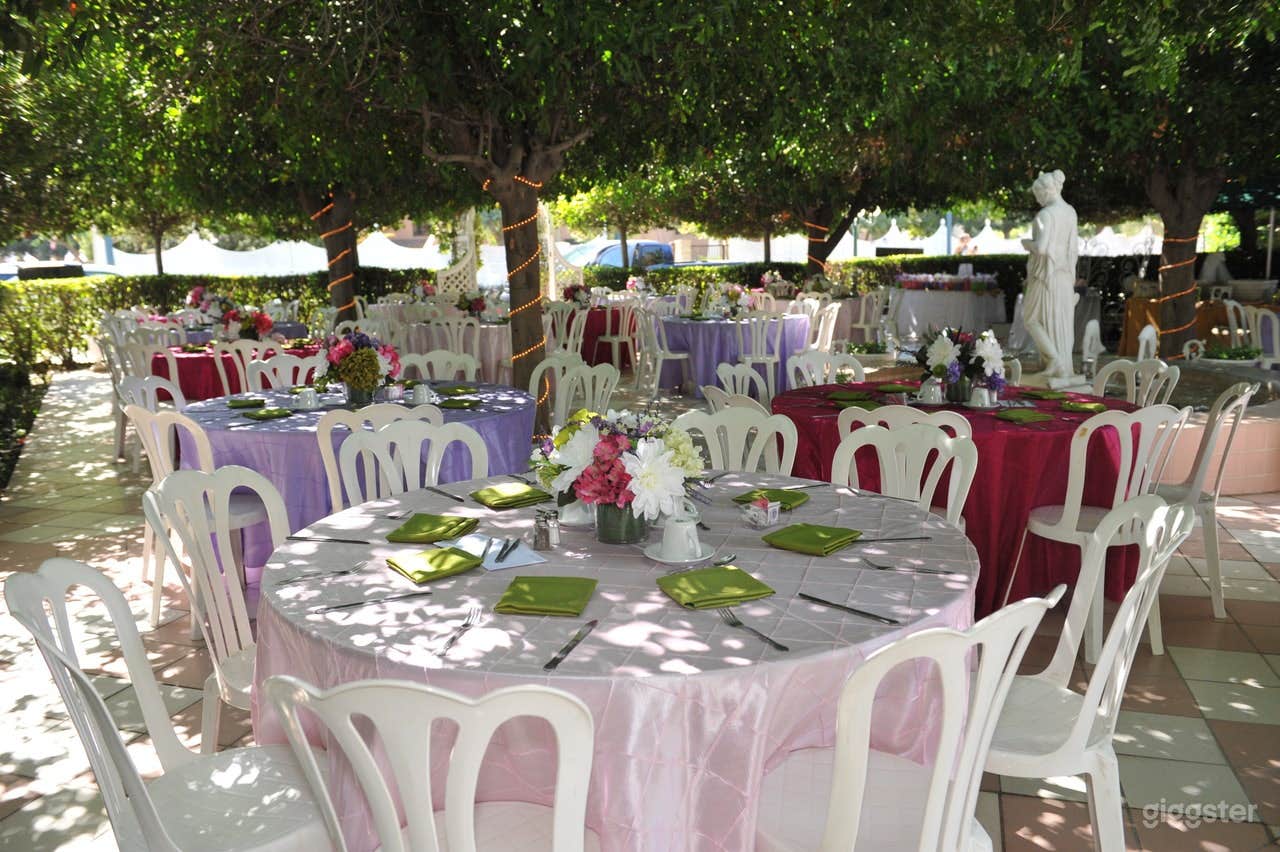 The Tea Garden Photo 1