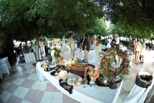 The Tea Garden Photo 2