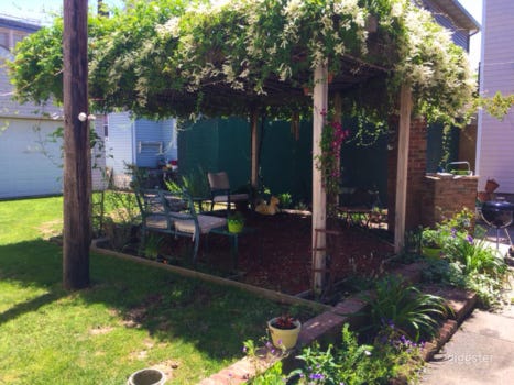 Vibrant Backyard With Table Photo 4