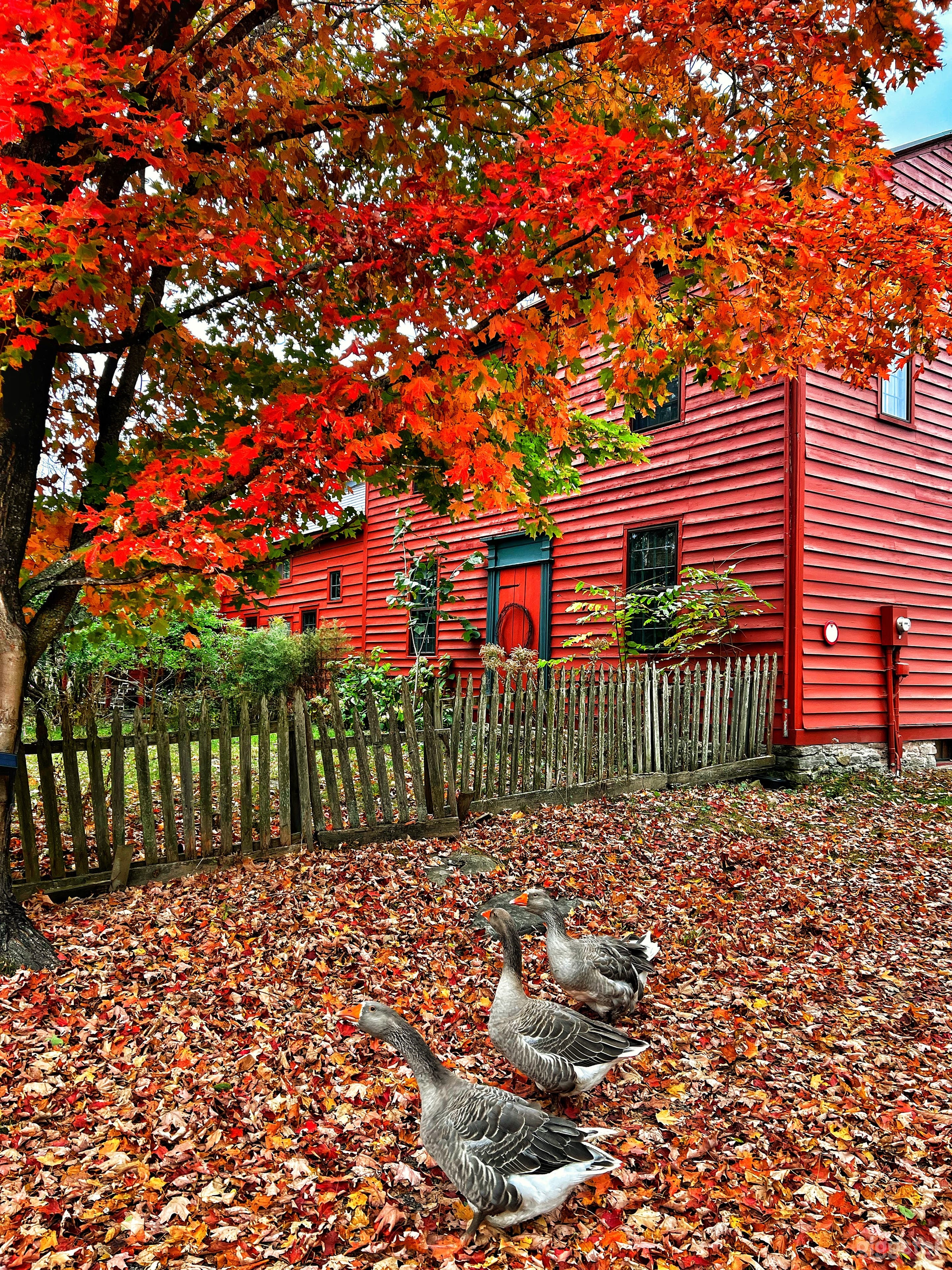 1800’s estate Photo 1
