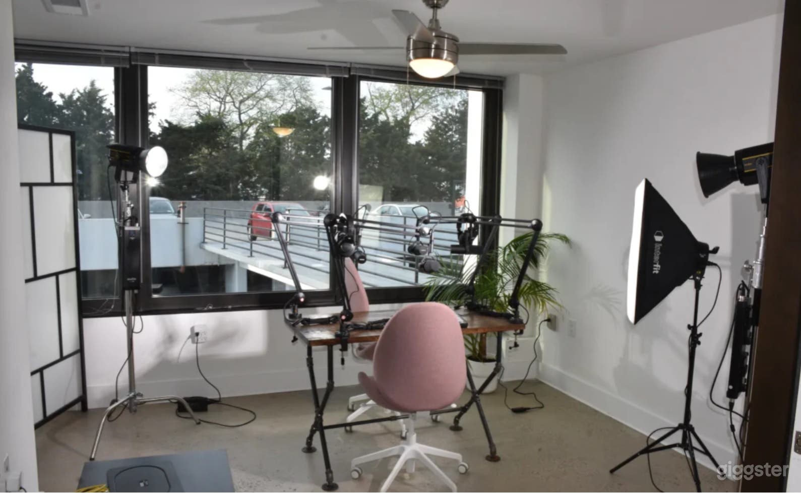 Professional, Live Stream Loft Podcast Studio in with Natural Light with Acoustic Walls. Photo 3