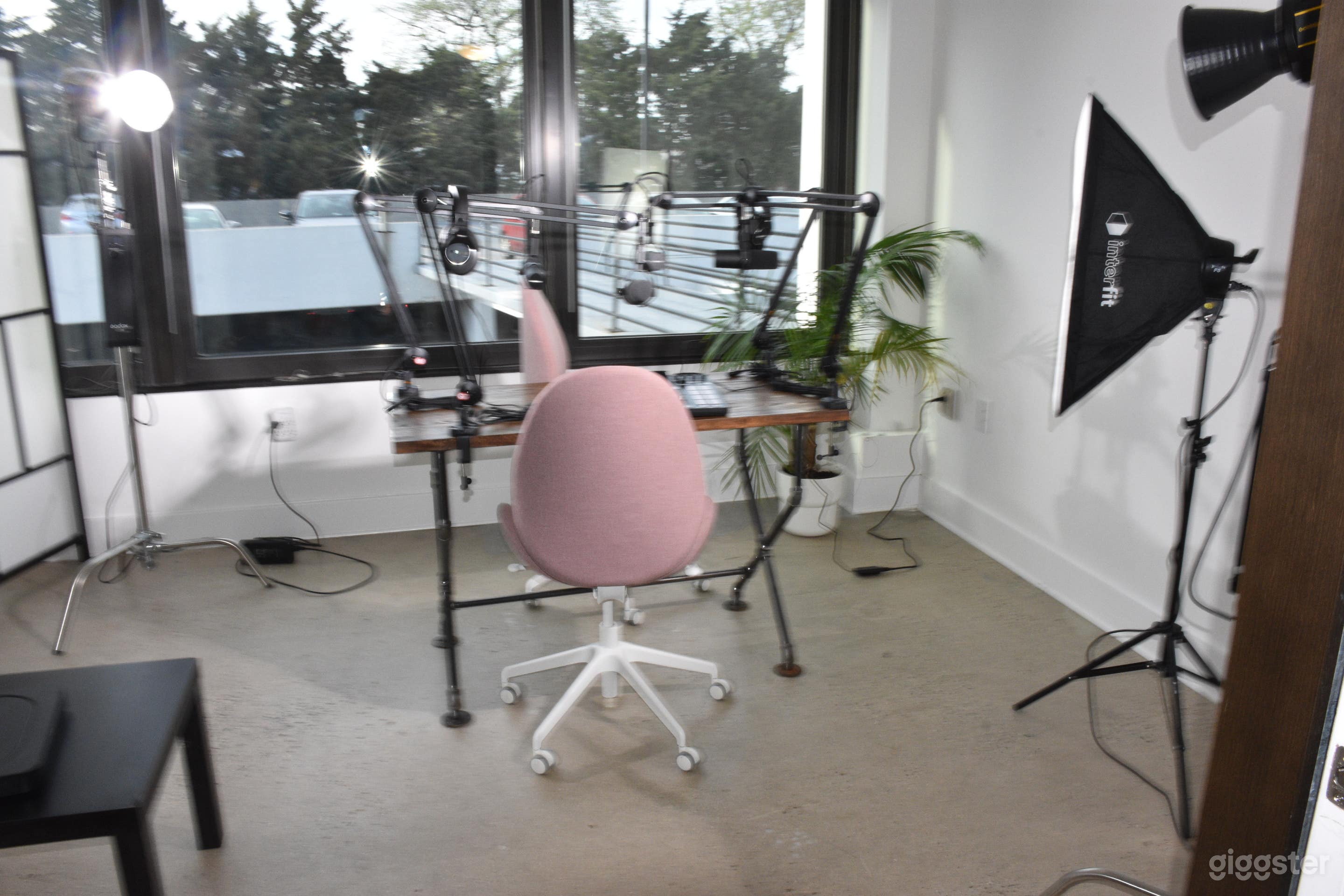 Professional, Live Stream Loft Podcast Studio in with Natural Light with Acoustic Walls. Photo 4