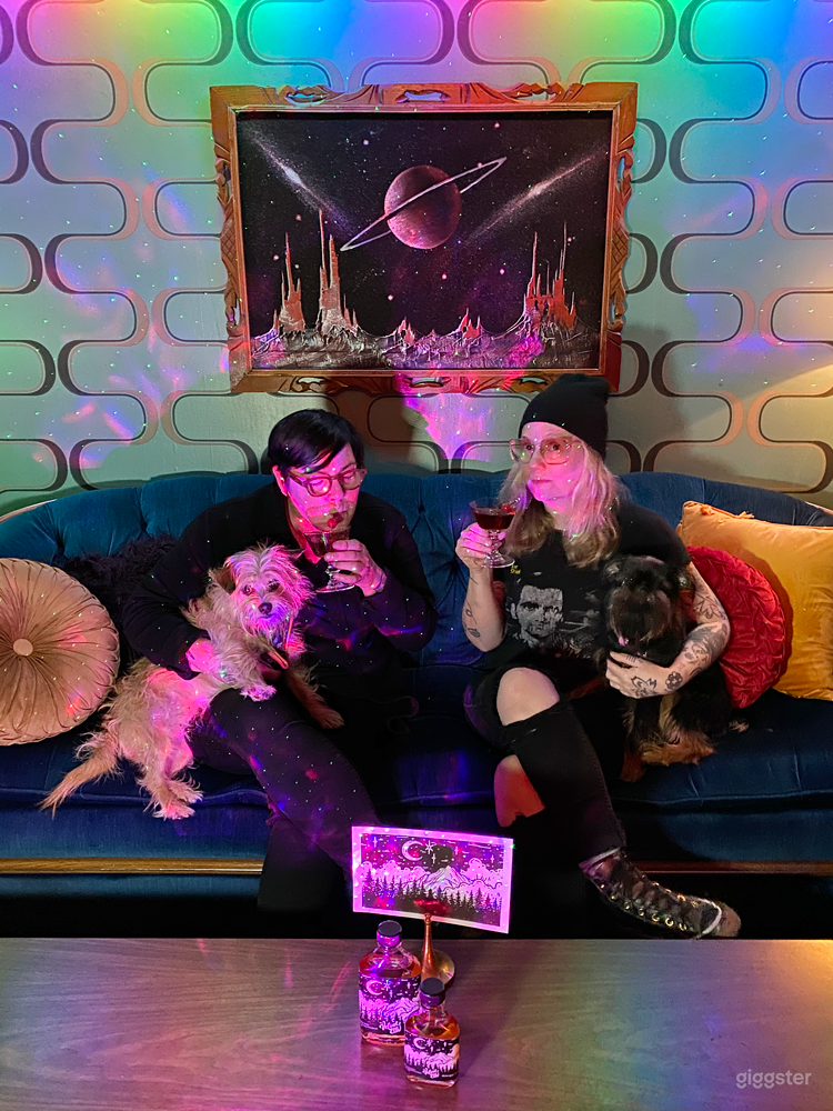 Upstairs lounge - We're dog friendly too!