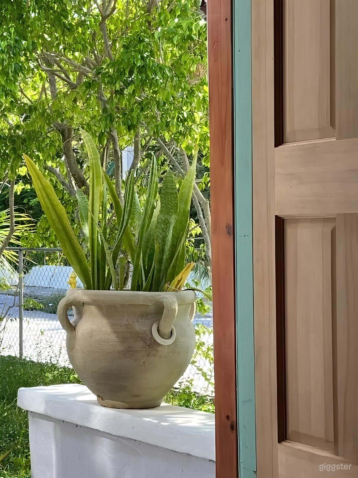 Vintage Wabi Sabi Minimal House in Design District Photo 1