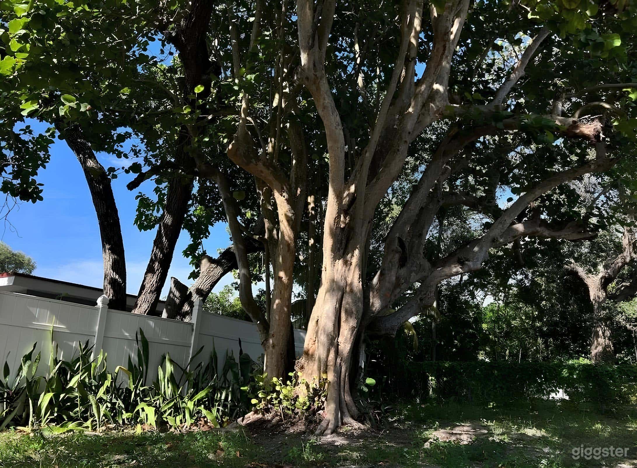 Vintage Wabi Sabi Minimal House in Design District Photo 2