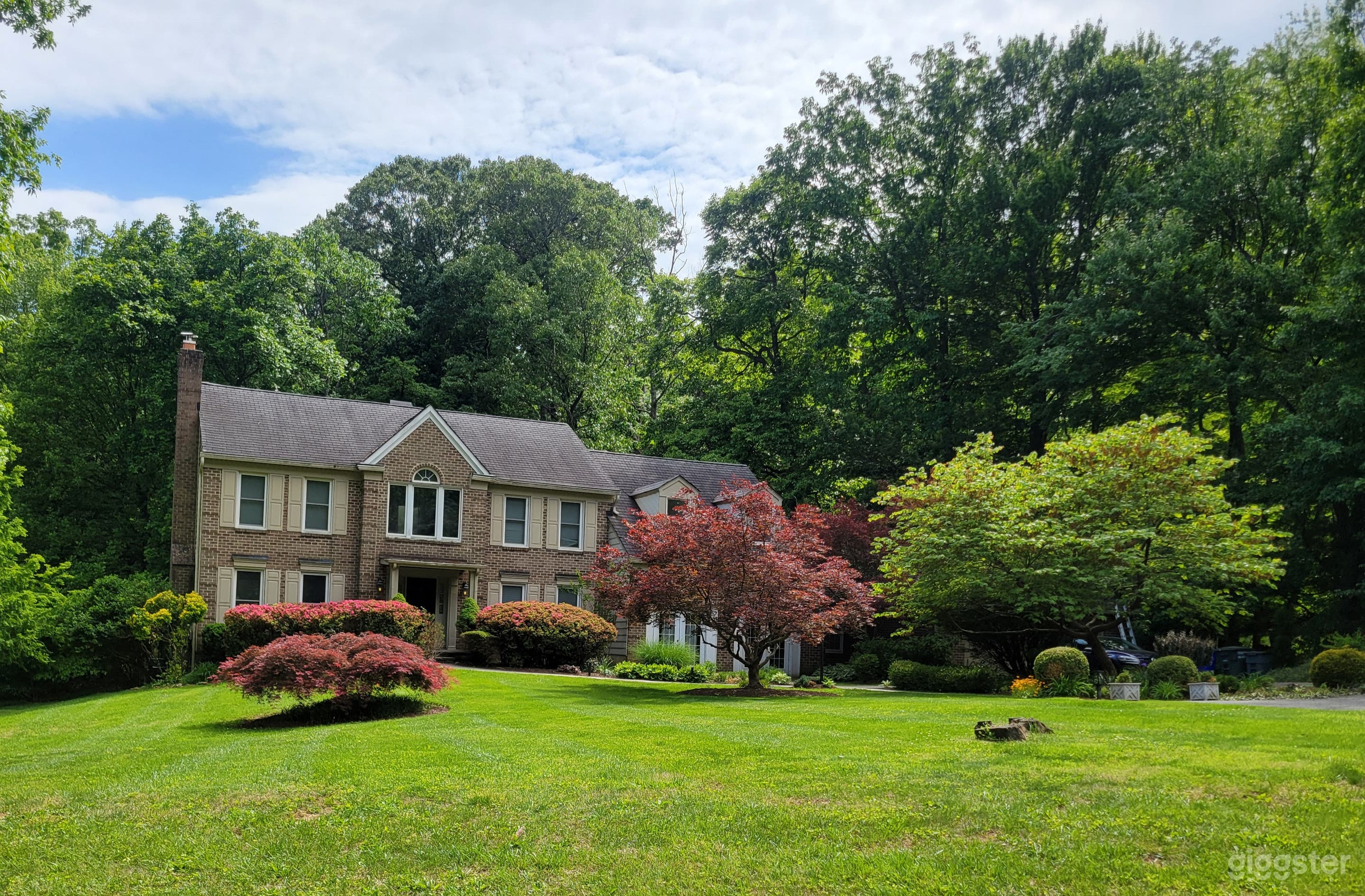 Artsy and Classy Washington Area Home Photo 2