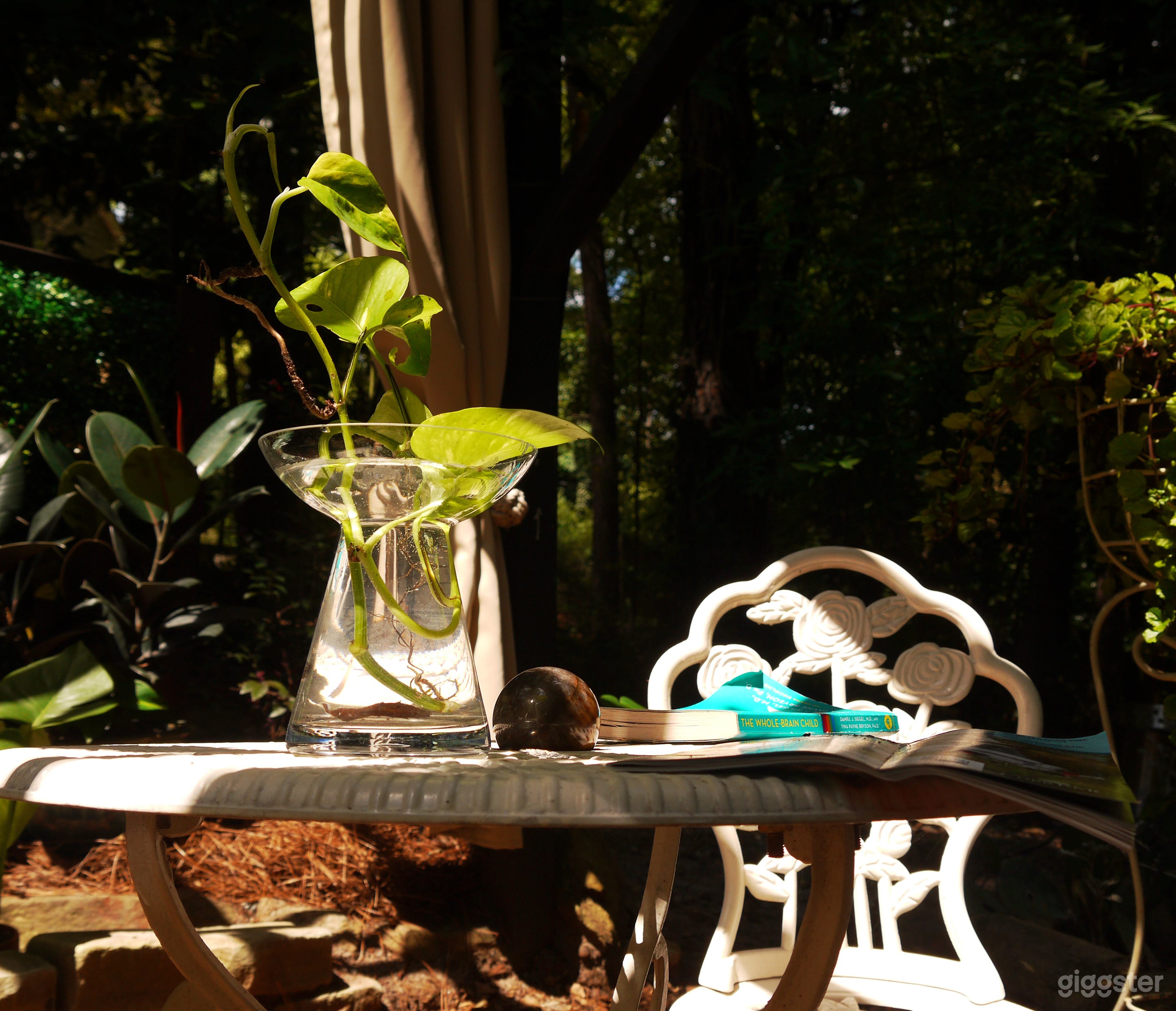 Private Garden with Pergola, Pond | Film and Photo Photo 4