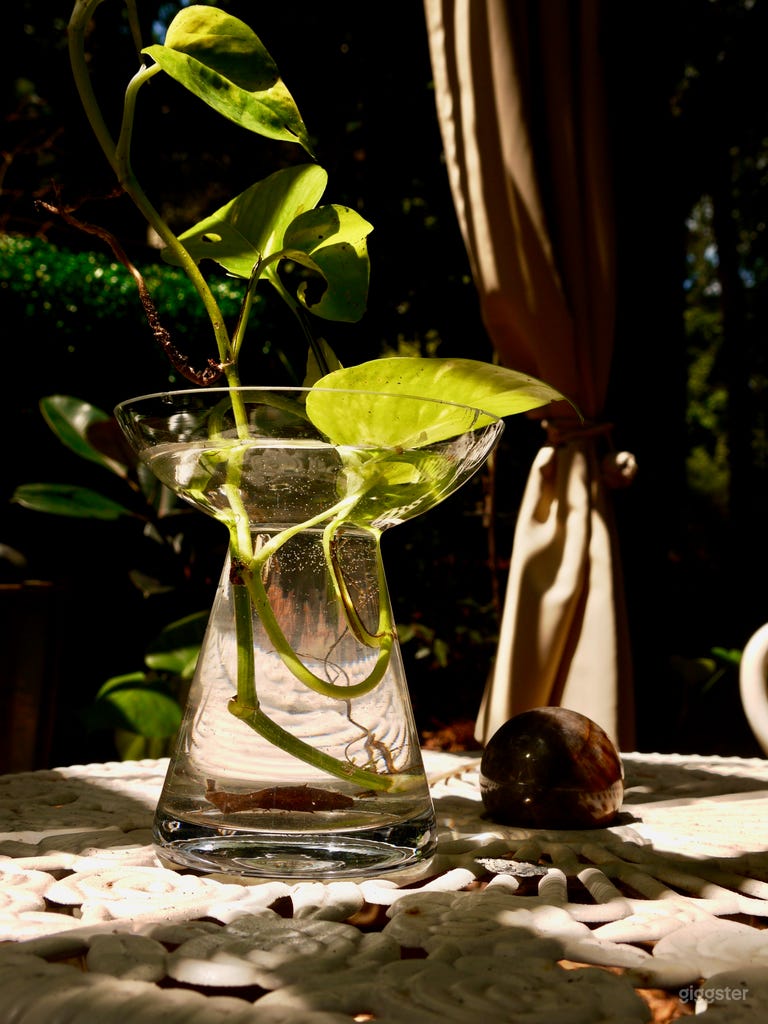  Private Garden with Pergola, Pond | Film and Photo 