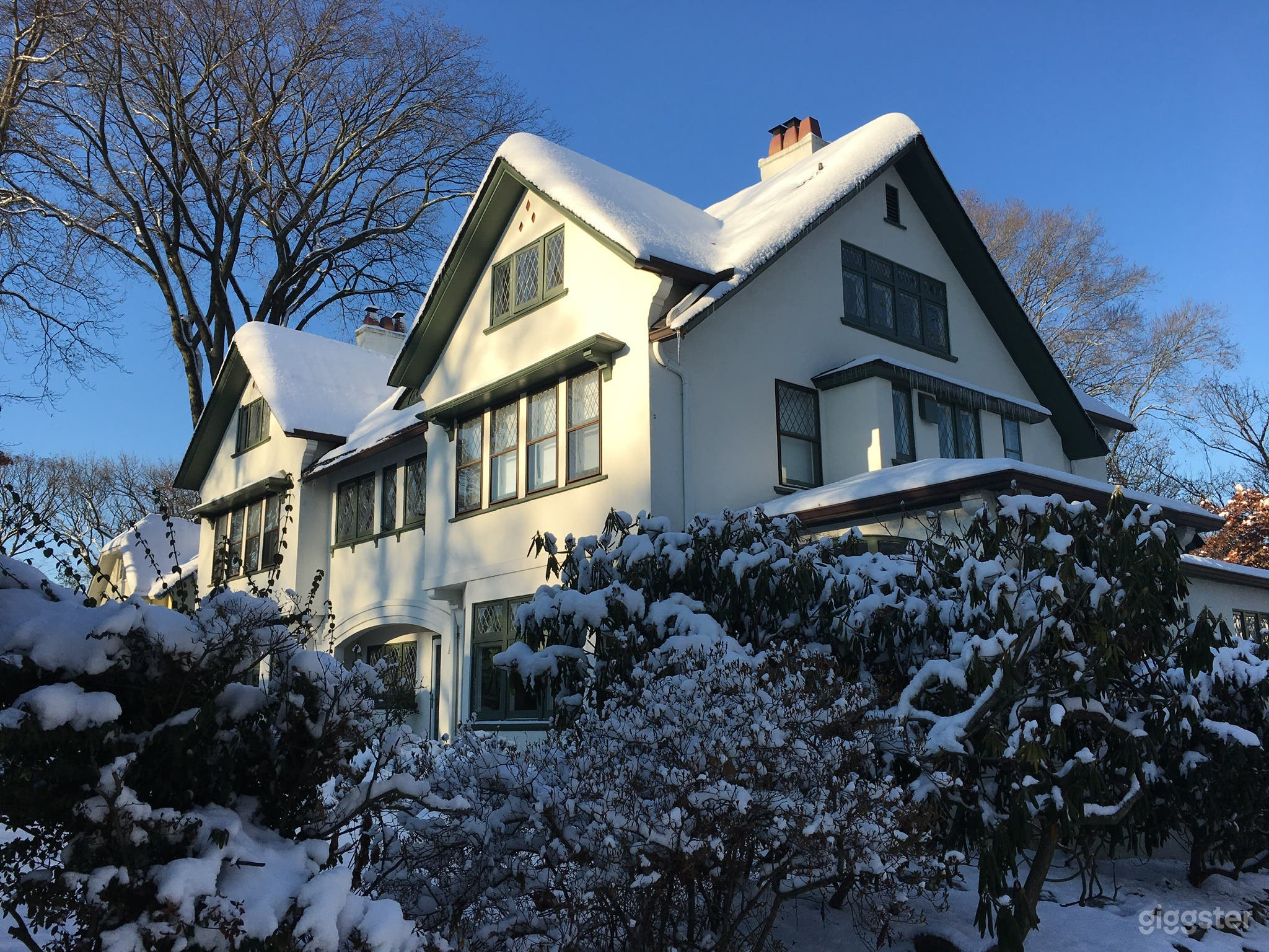 Unique Gorgeous Mansion  Photo 3