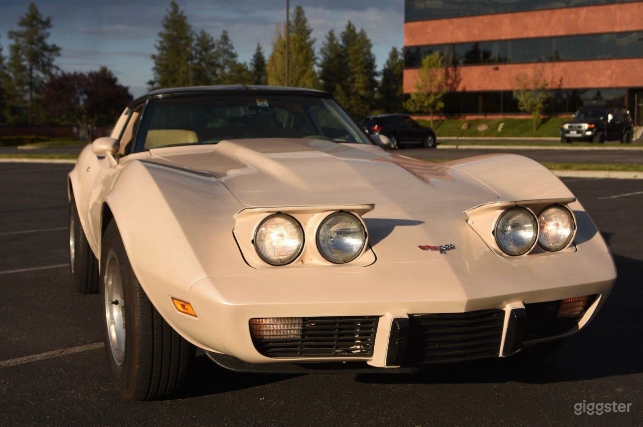 1979 Cream Corvette C3 w/ Dreamy Original Details Photo 2