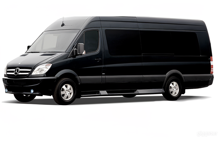  VIP Mercedes Sprinter for 12 Guests 