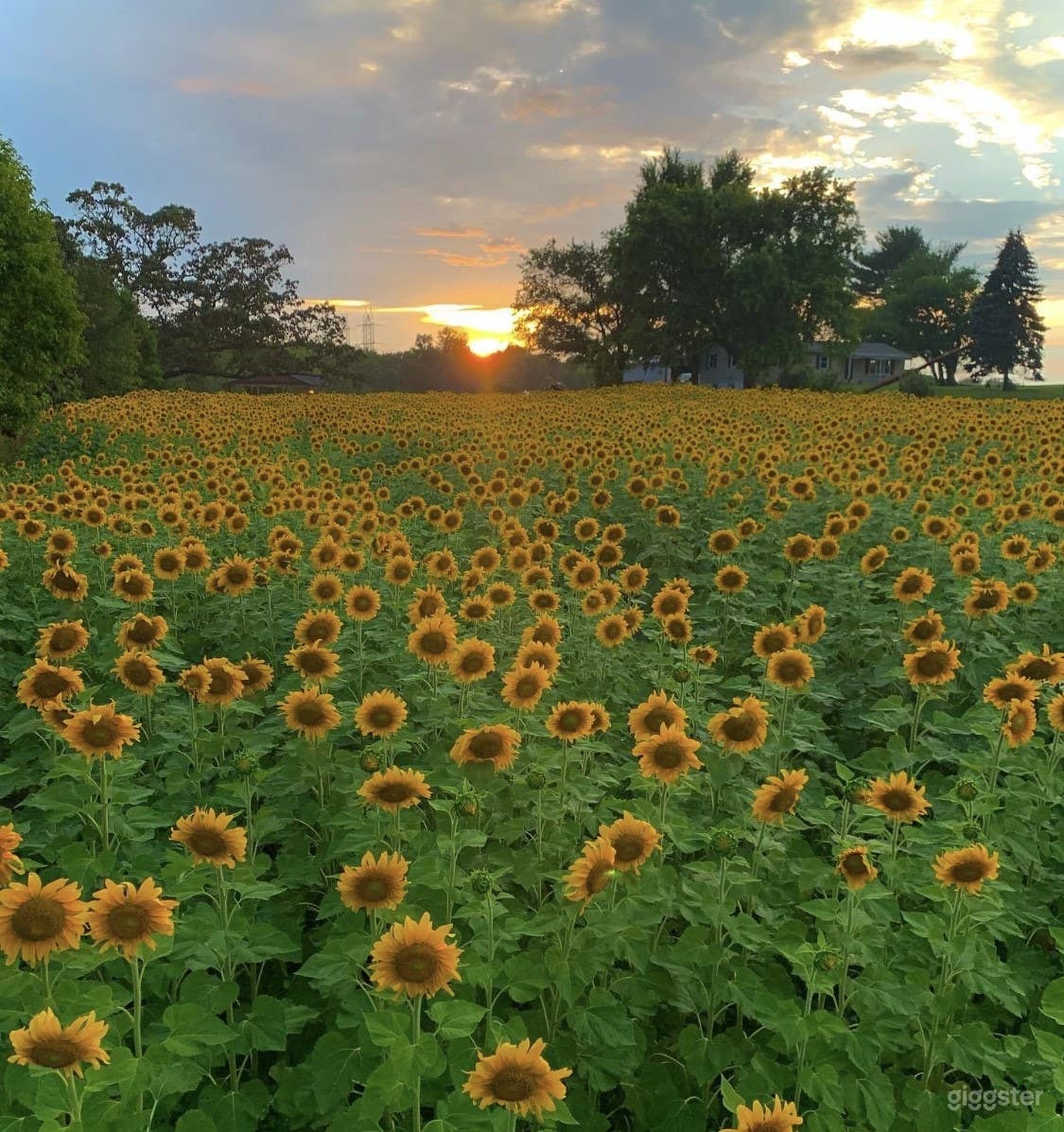 28 ACRE FARM BREWERY OUTSIDE OF WASHINGTON, D.C.! Photo 4