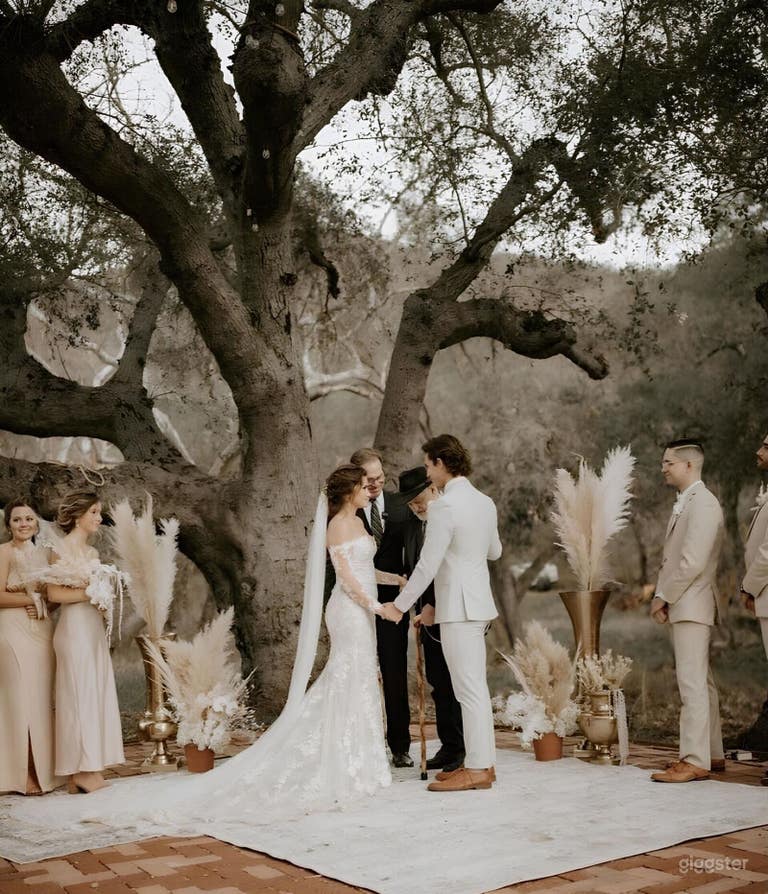  Enchanting 9-Acre Oak Grove & Creekside Venue 