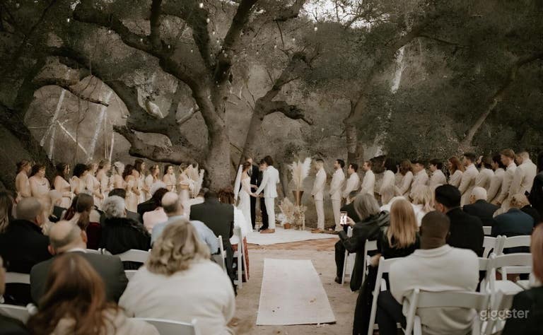  Coach Racs wedding in 2019 
300 attendees 