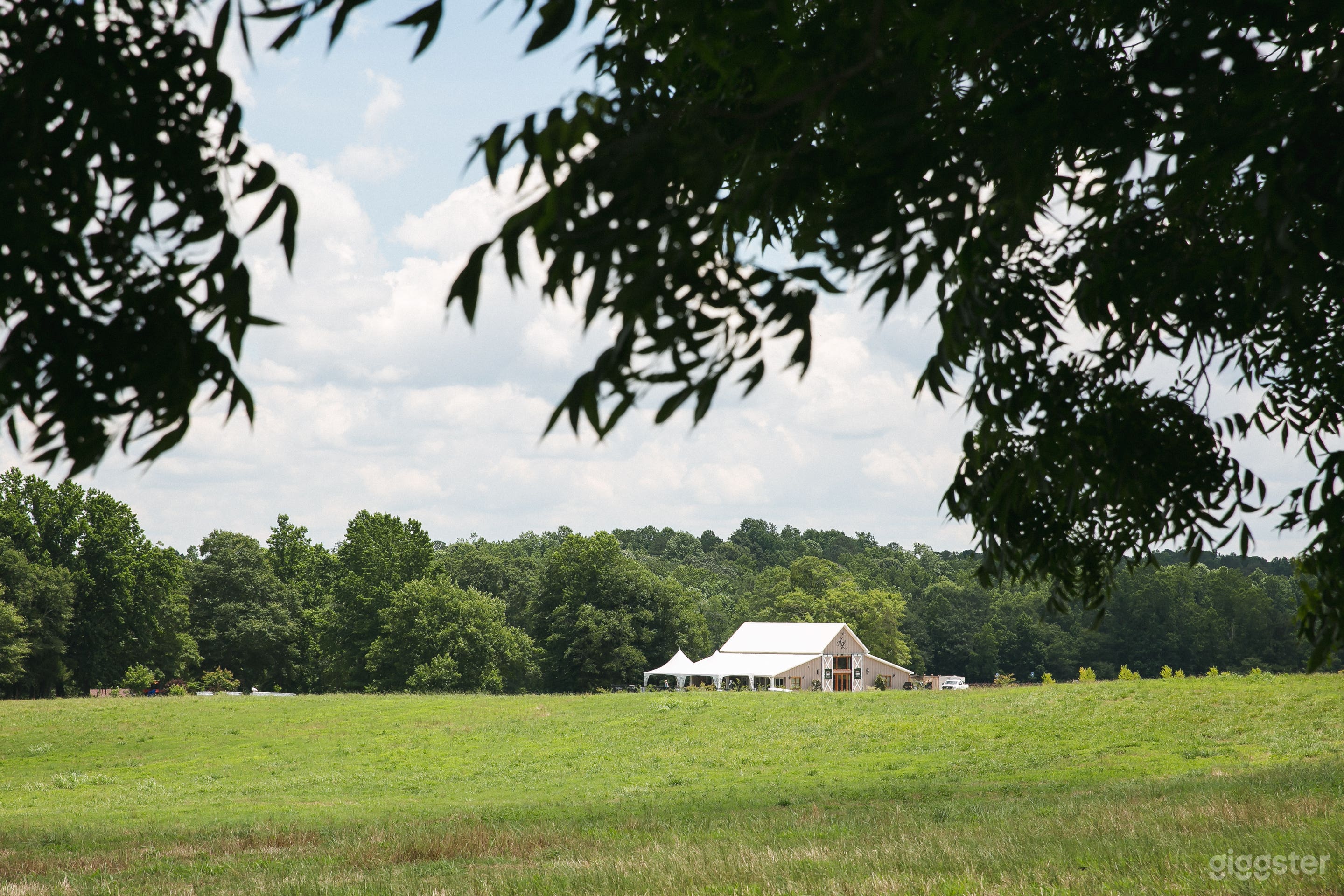 Private Newnan Ranch with Multiple Looks Photo 3