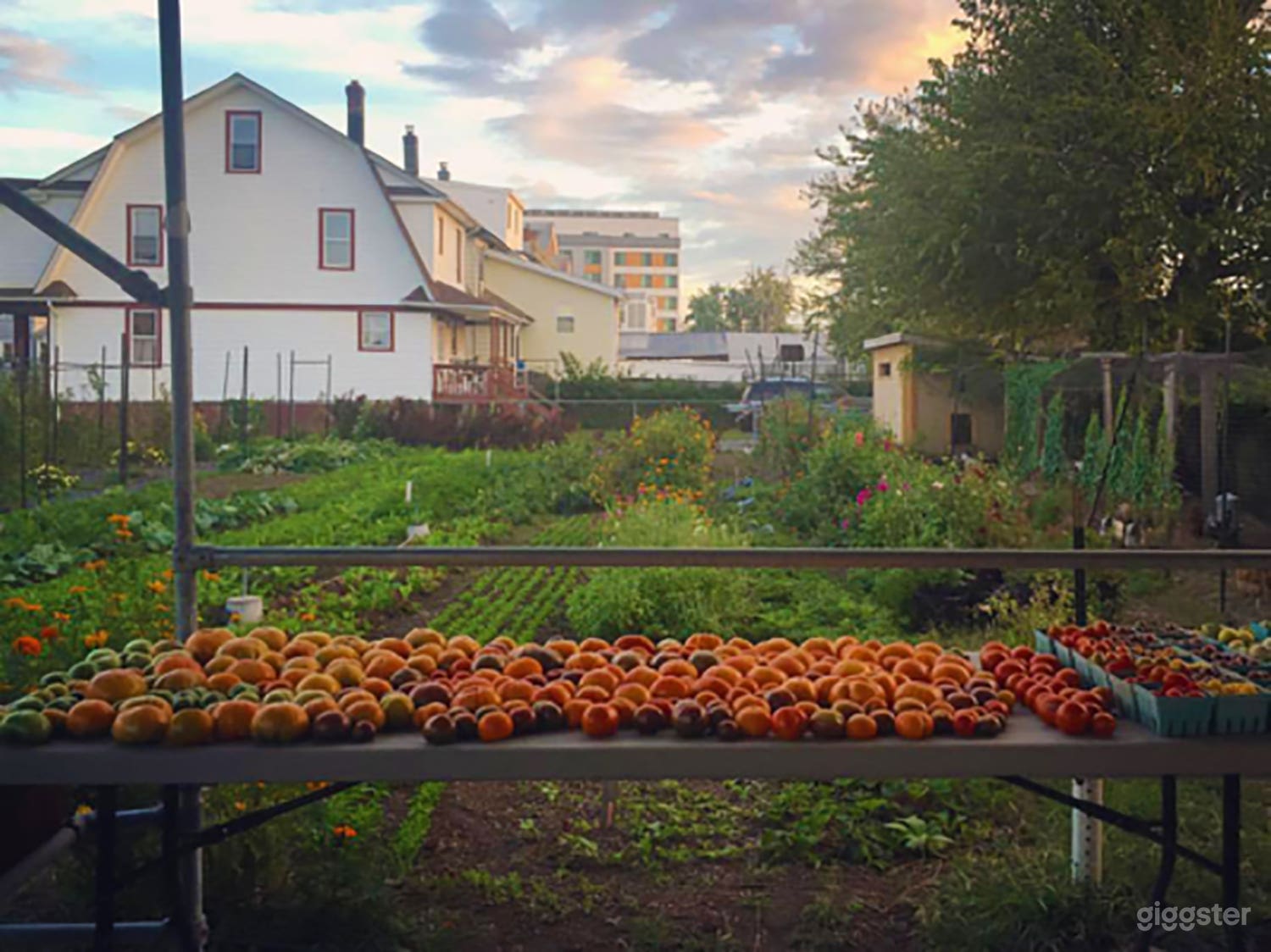 Urban Farm Photo 1