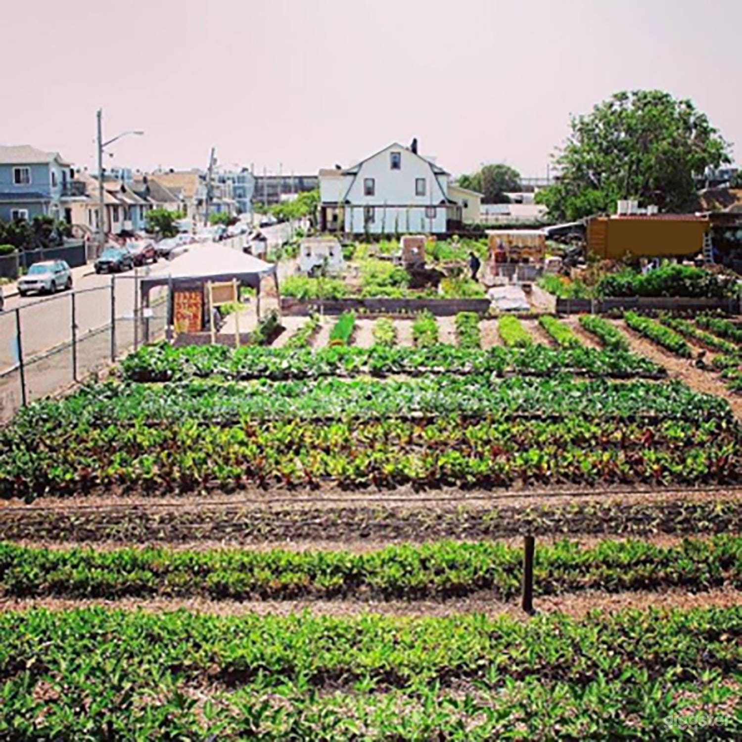 Urban Farm Photo 4