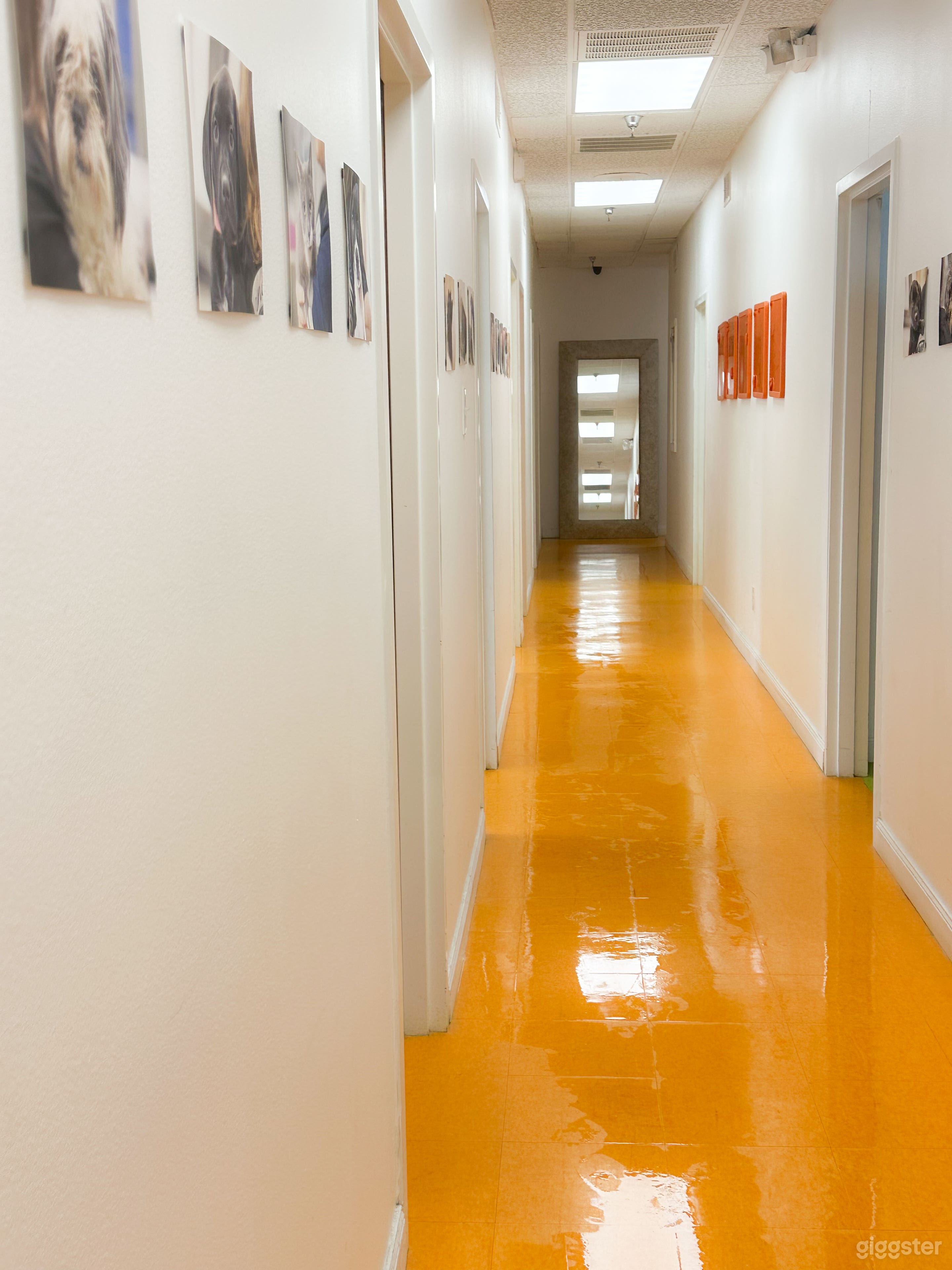 Kitchen Studio Photo 4