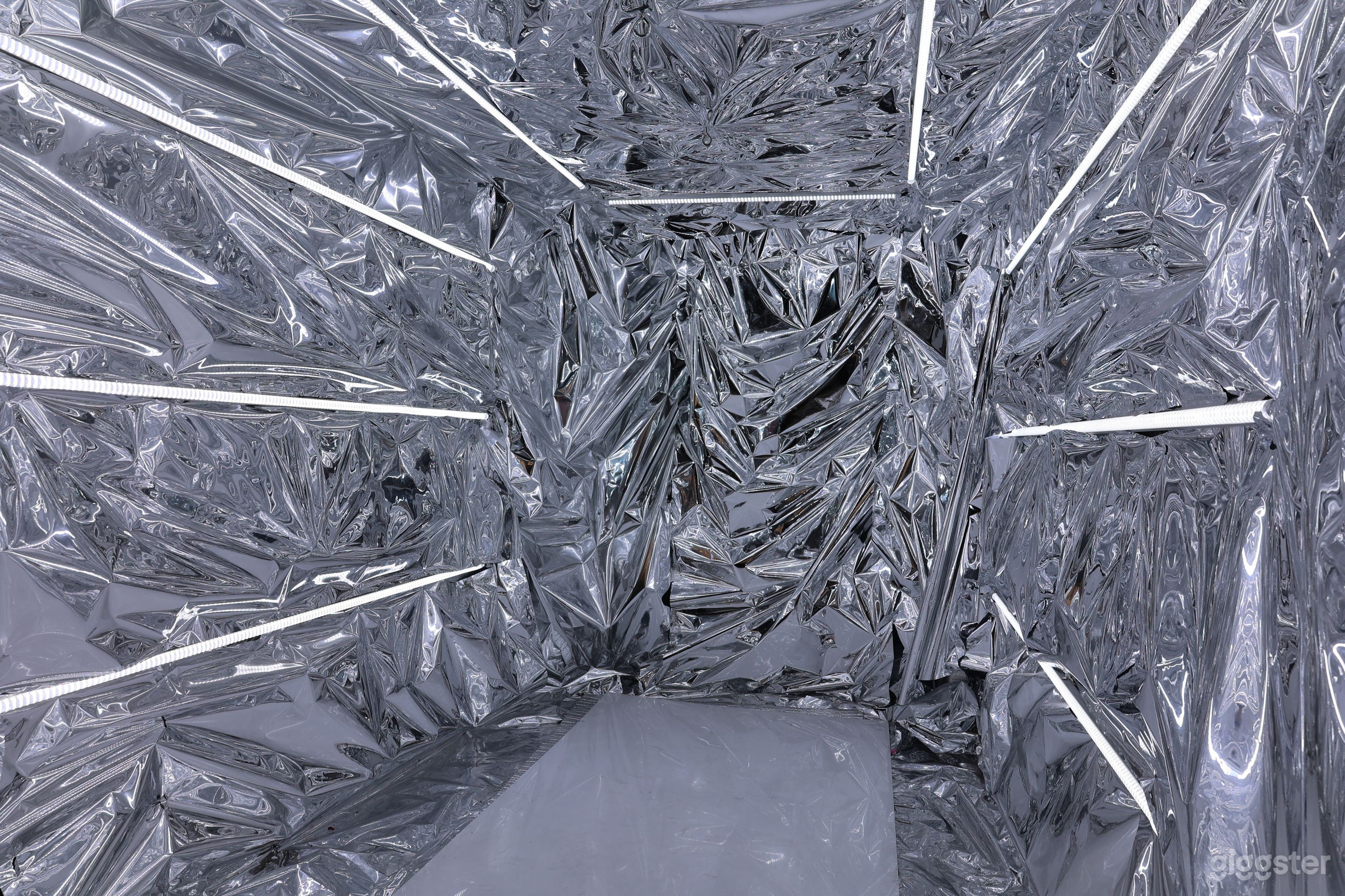 Silver Surfer Photo 3