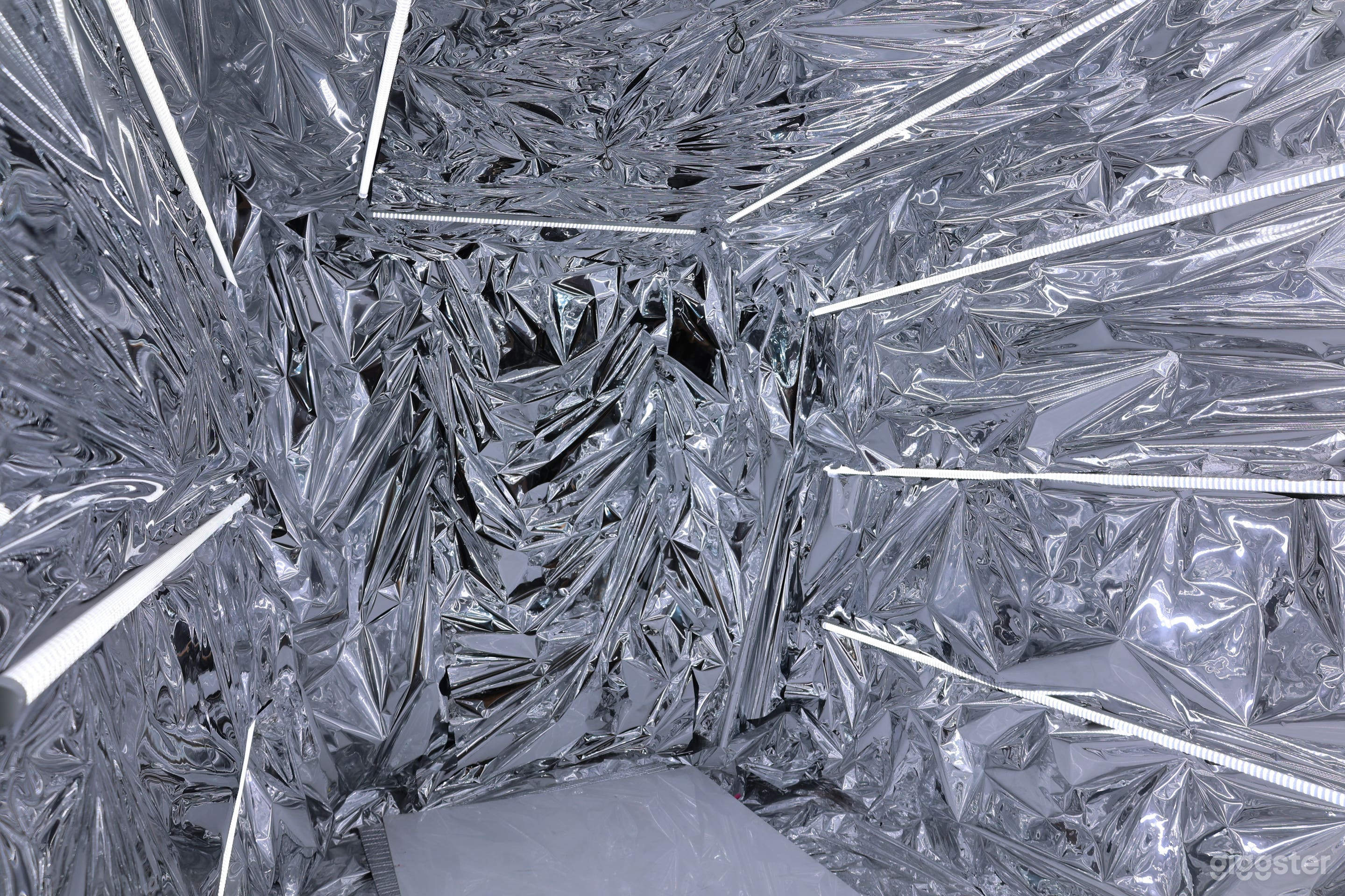 Silver Surfer Photo 1